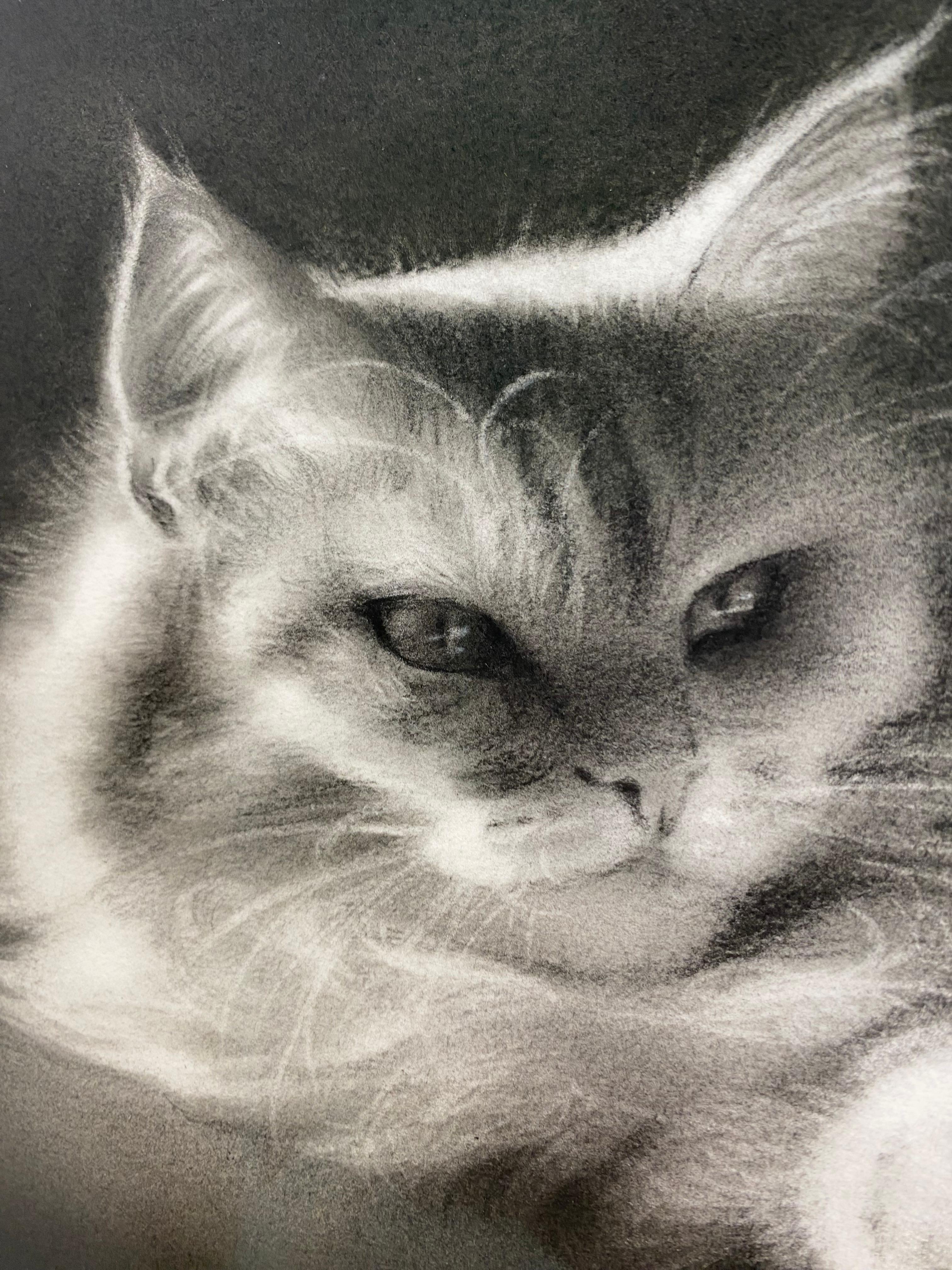feline Mystique - Dessin au fusain contemporain du 21ème siècle d'un chat en vente 2