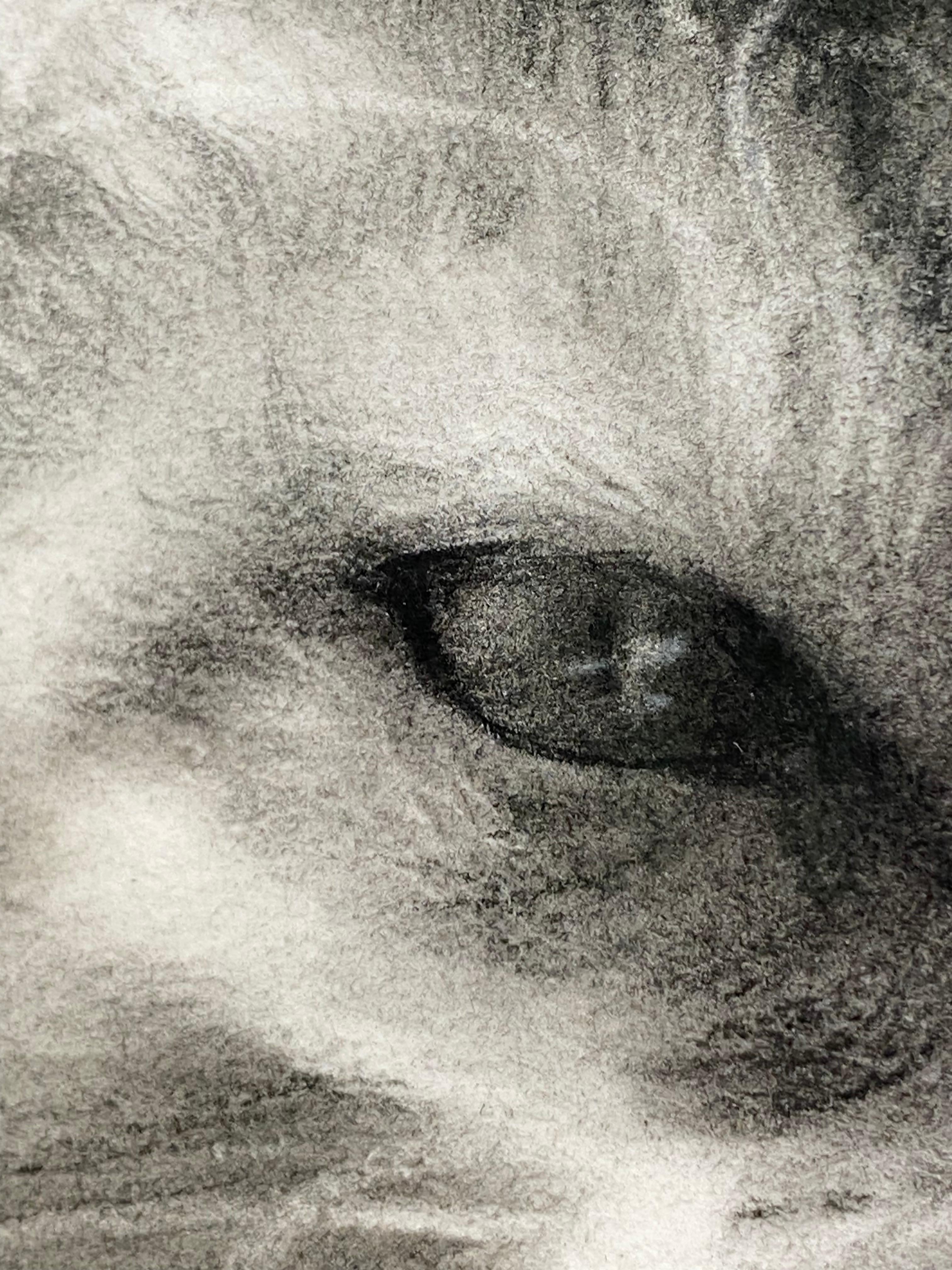feline Mystique - Dessin au fusain contemporain du 21ème siècle d'un chat en vente 3