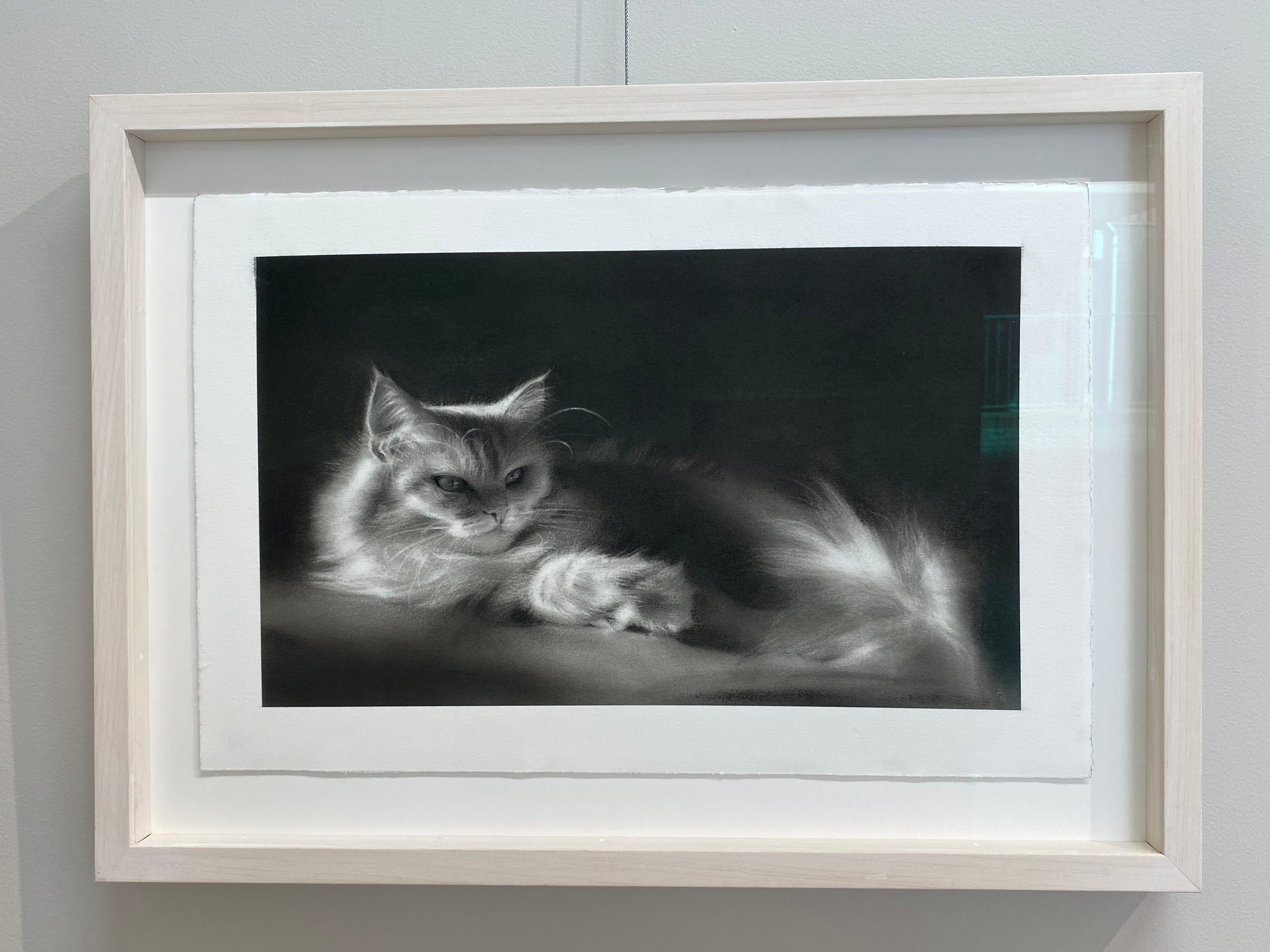 feline Mystique - Dessin au fusain contemporain du 21ème siècle d'un chat - Art de Rosanna Gaddoni