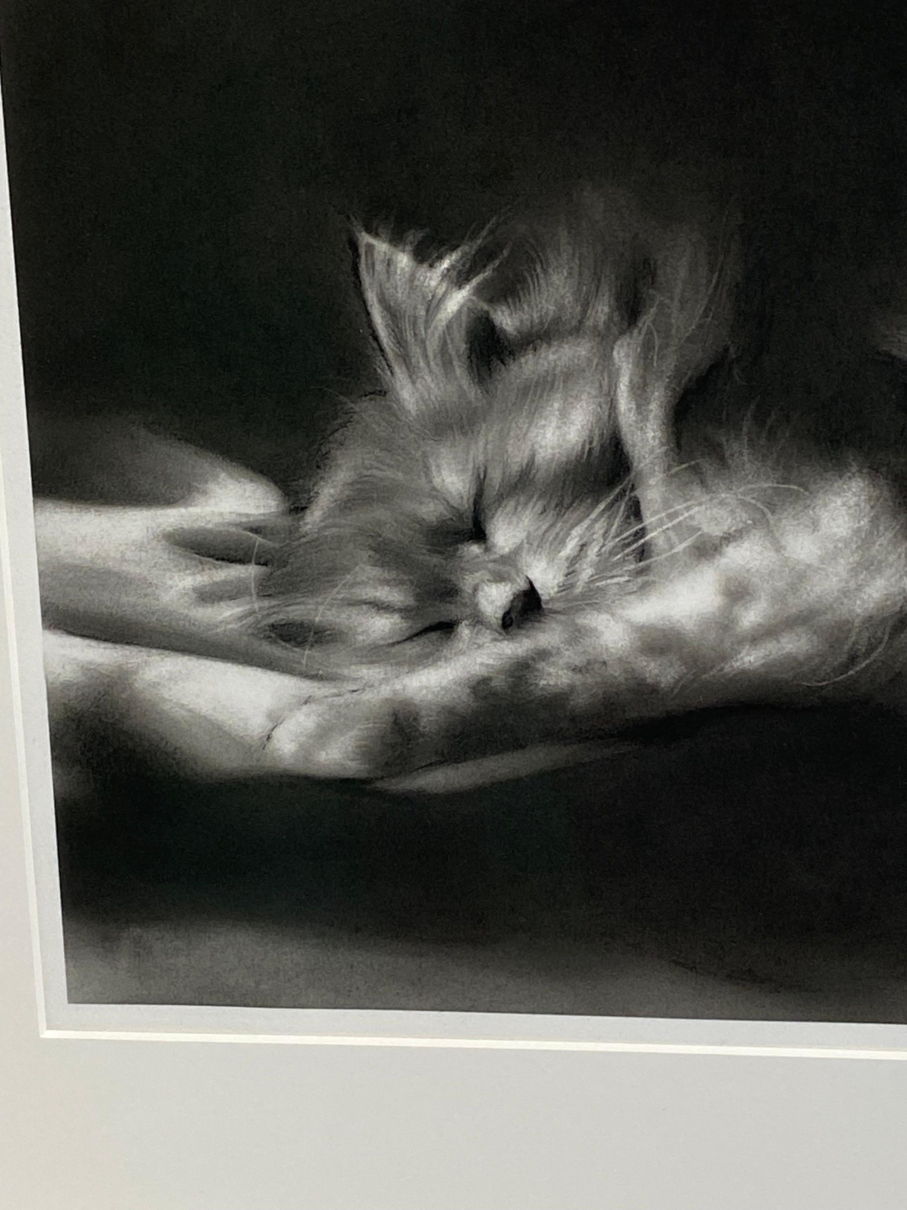 Afternoon - 21st Century Contemporary Charcoal Drawing of a cat (Zeitgenössisch), Art, von Rosanna Gaddoni