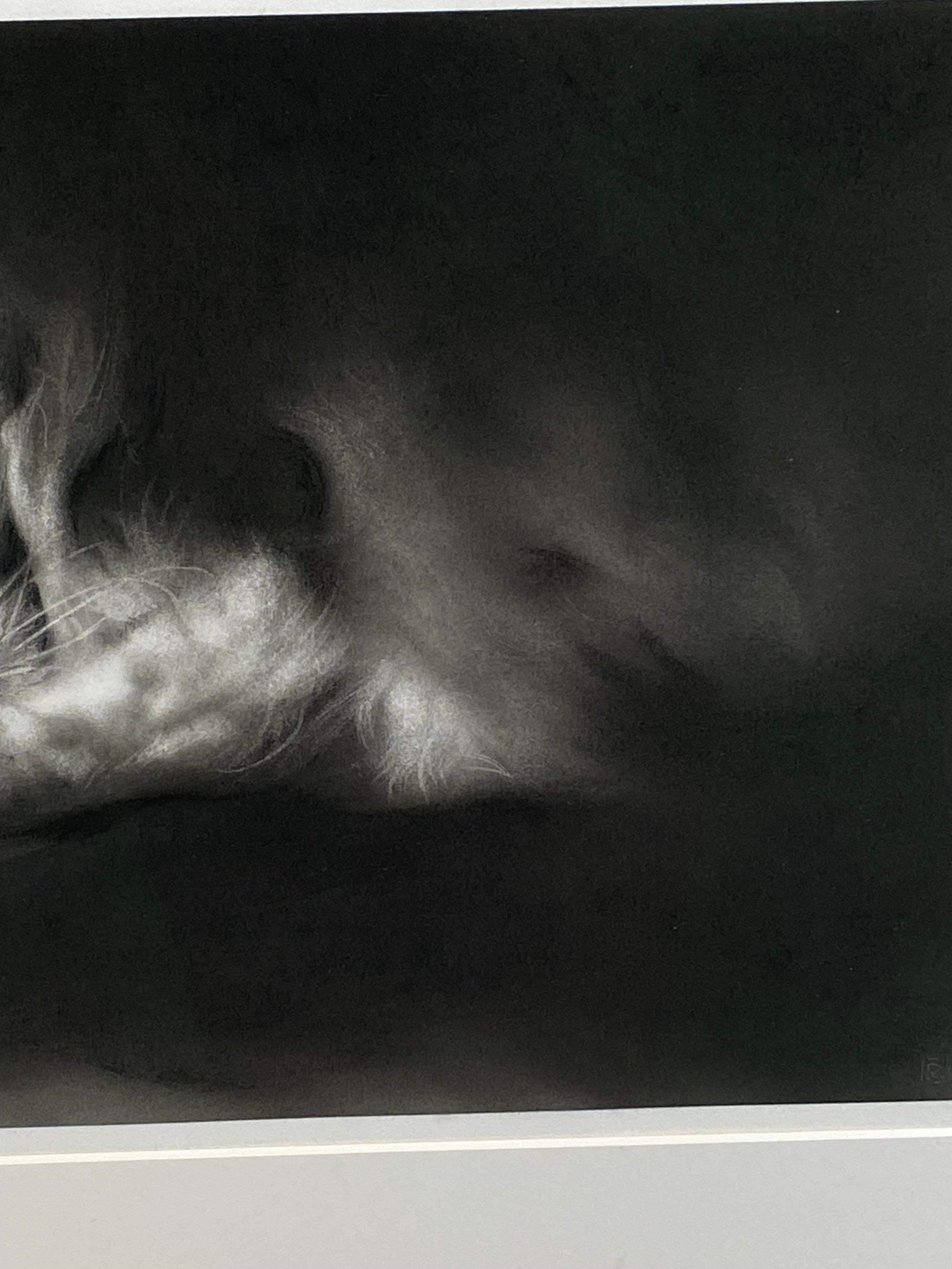 Afternoon - 21st Century Contemporary Charcoal Drawing of a cat (Schwarz), Nude, von Rosanna Gaddoni