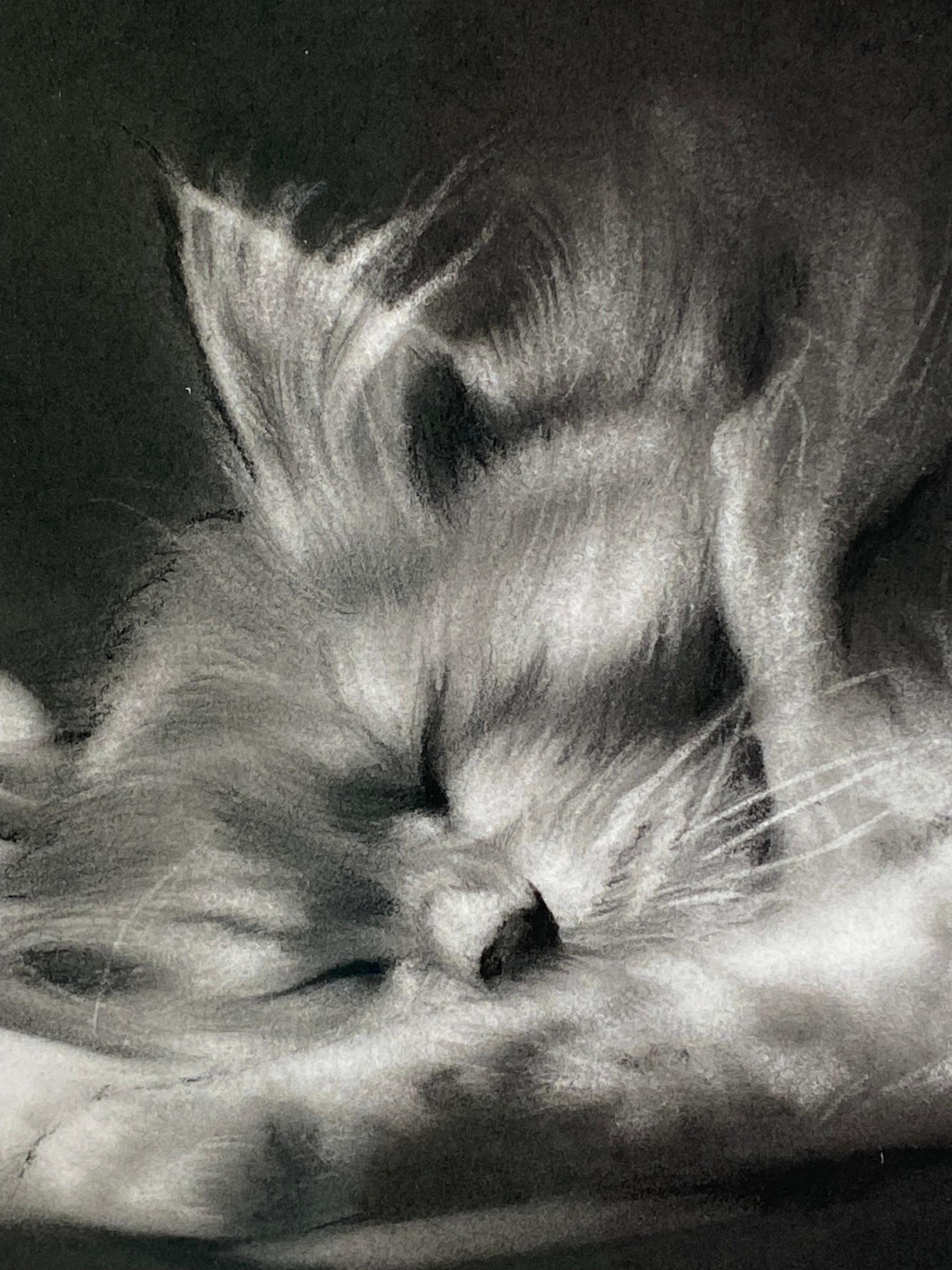 Rosanna Gaddoni (Italian artist)
Afternoon
38 x 57 cm ( framed in wood frame with museum glass)
Measurement with included frame: 53 x 62 x 3 cm
Charcoal on Paper

The Italian artist Rosanna Gaddoni, residing in the Netherlands, has been added to