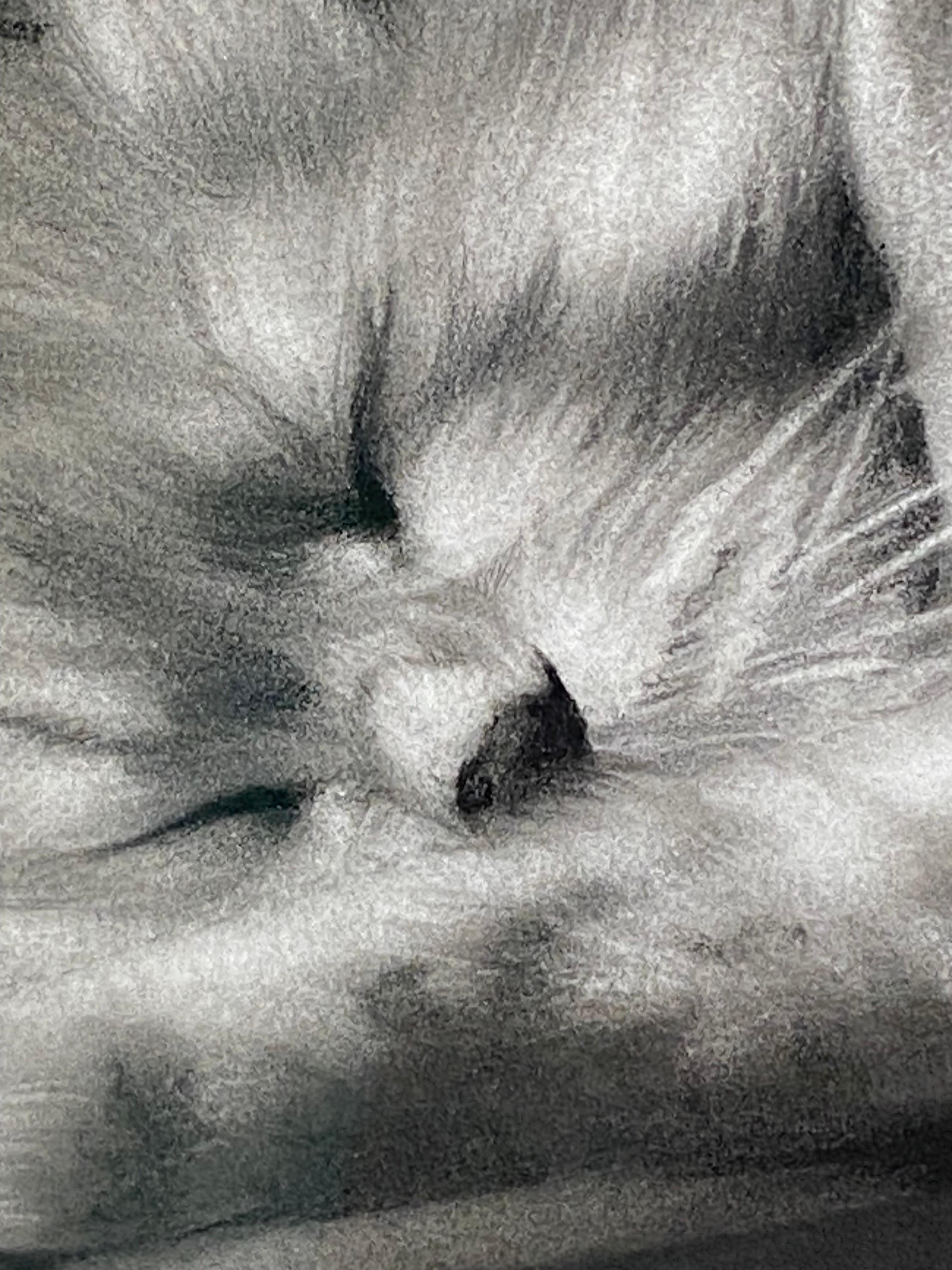 Afternoon - 21st Century Contemporary Charcoal Drawing of a cat im Angebot 2