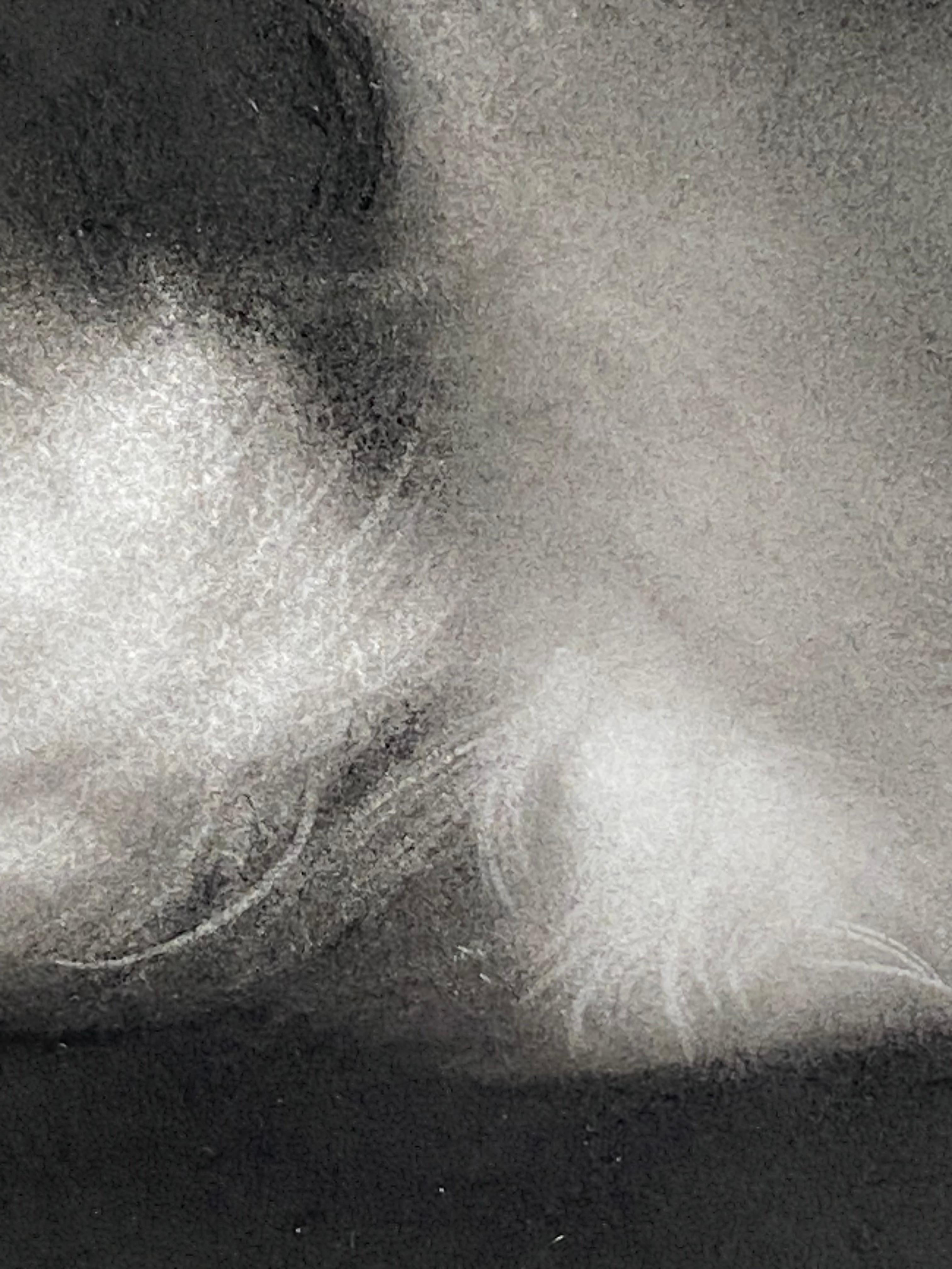 Afternoon - 21st Century Contemporary Charcoal Drawing of a cat im Angebot 4