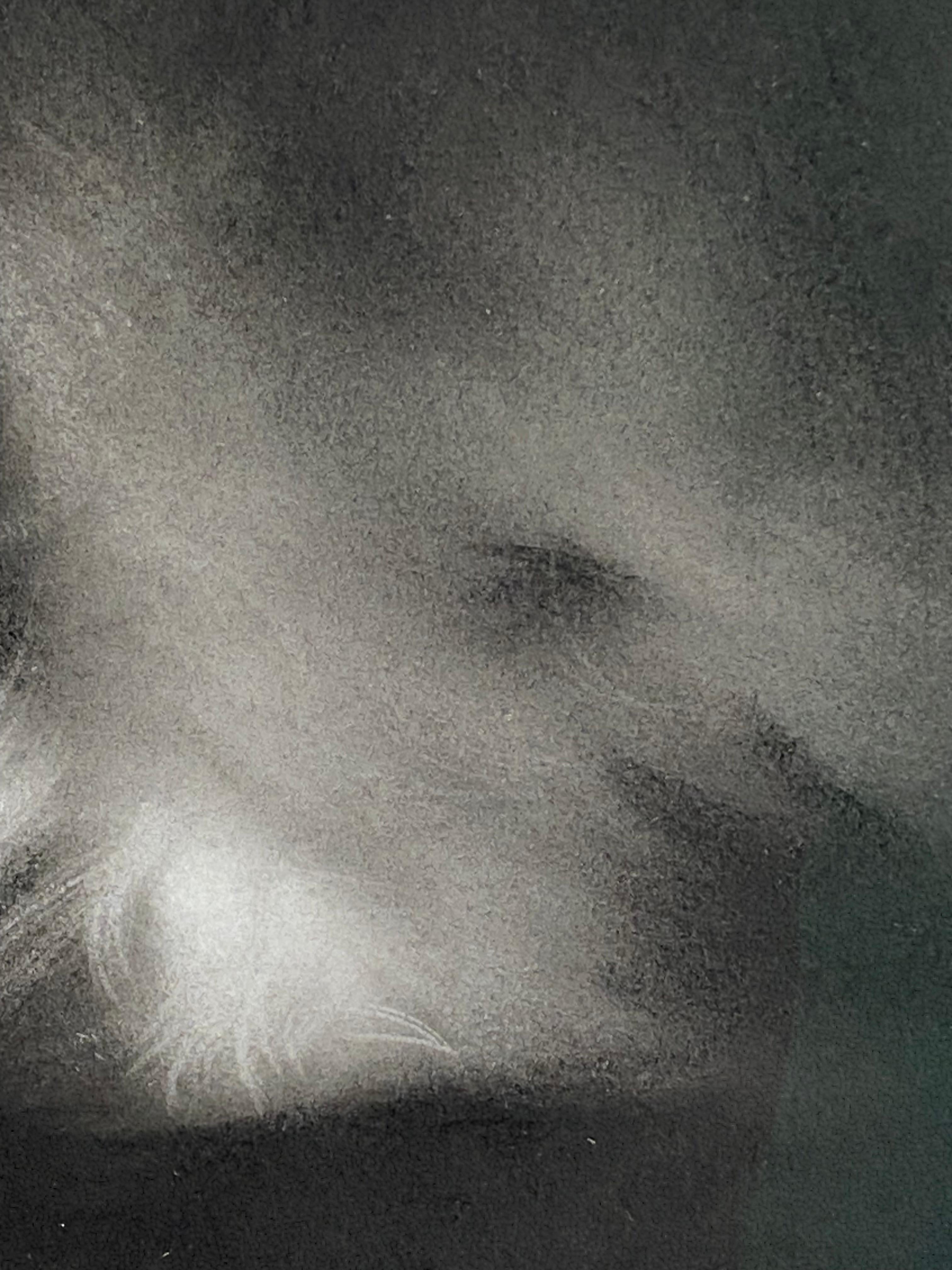 Afternoon - 21st Century Contemporary Charcoal Drawing of a cat im Angebot 5