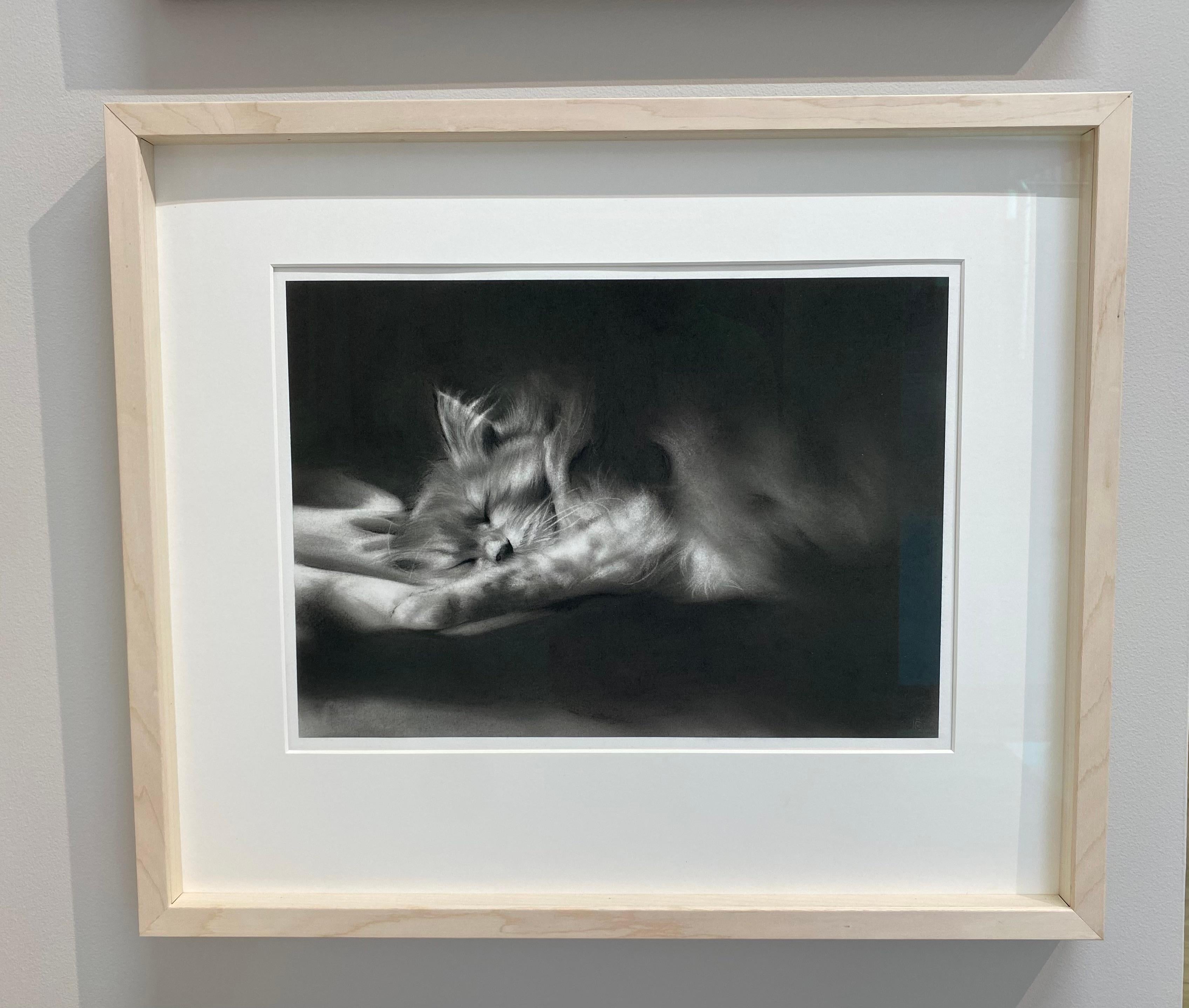 Afternoon - 21st Century Contemporary Charcoal Drawing of a cat – Art von Rosanna Gaddoni