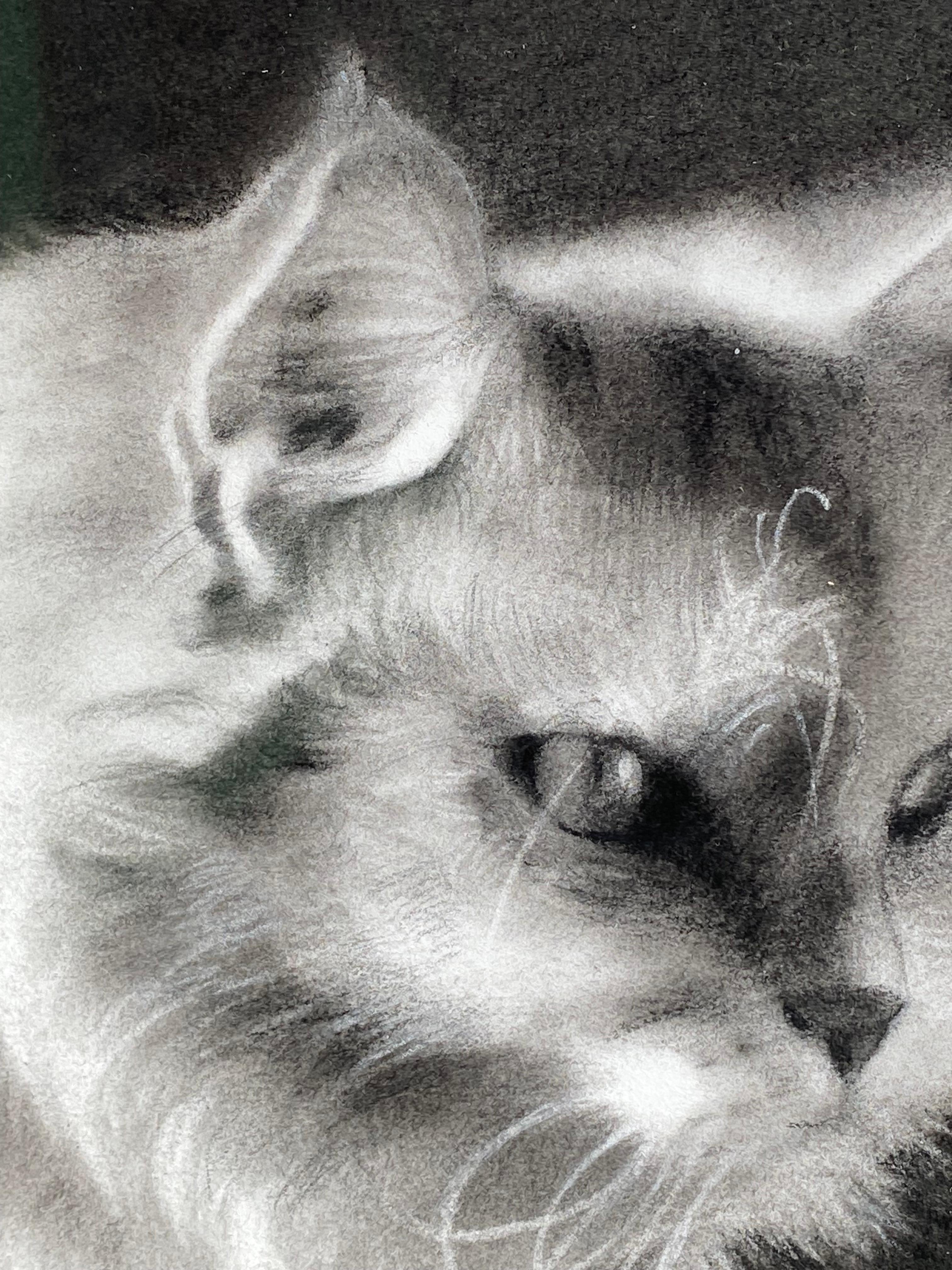 Tiny Glow - Dibujo contemporáneo a carboncillo del siglo XXI de un gato - Nude Negro de Rosanna Gaddoni