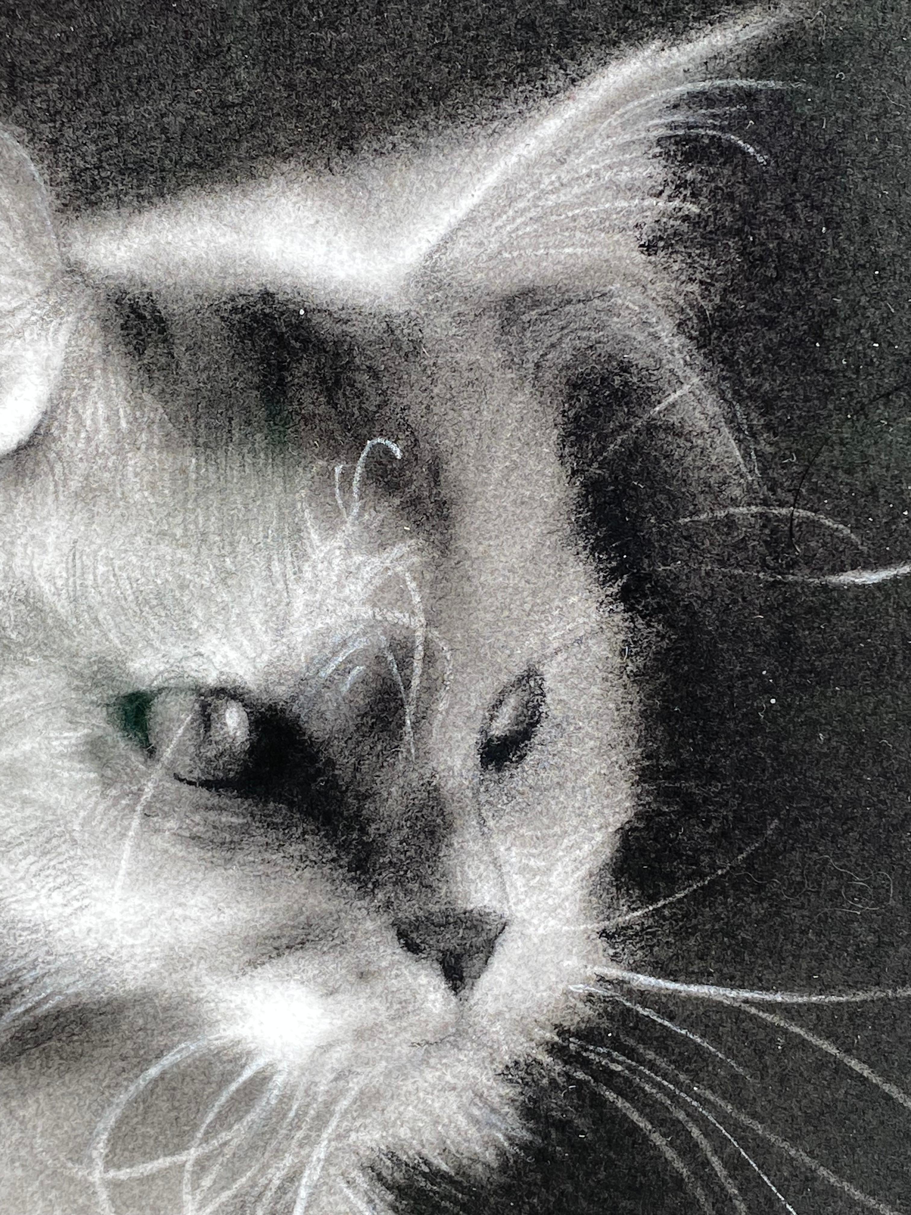 Rosanna Gaddoni (artista italiana)
Pequeño resplandor
33 x 48 cm ( enmarcado en marco de madera con cristal de museo)
Medidas con marco incluido: 40,5 x 57,5 x 3 cm
Carboncillo sobre papel

La artista italiana Rosanna Gaddoni, residente en Holanda,
