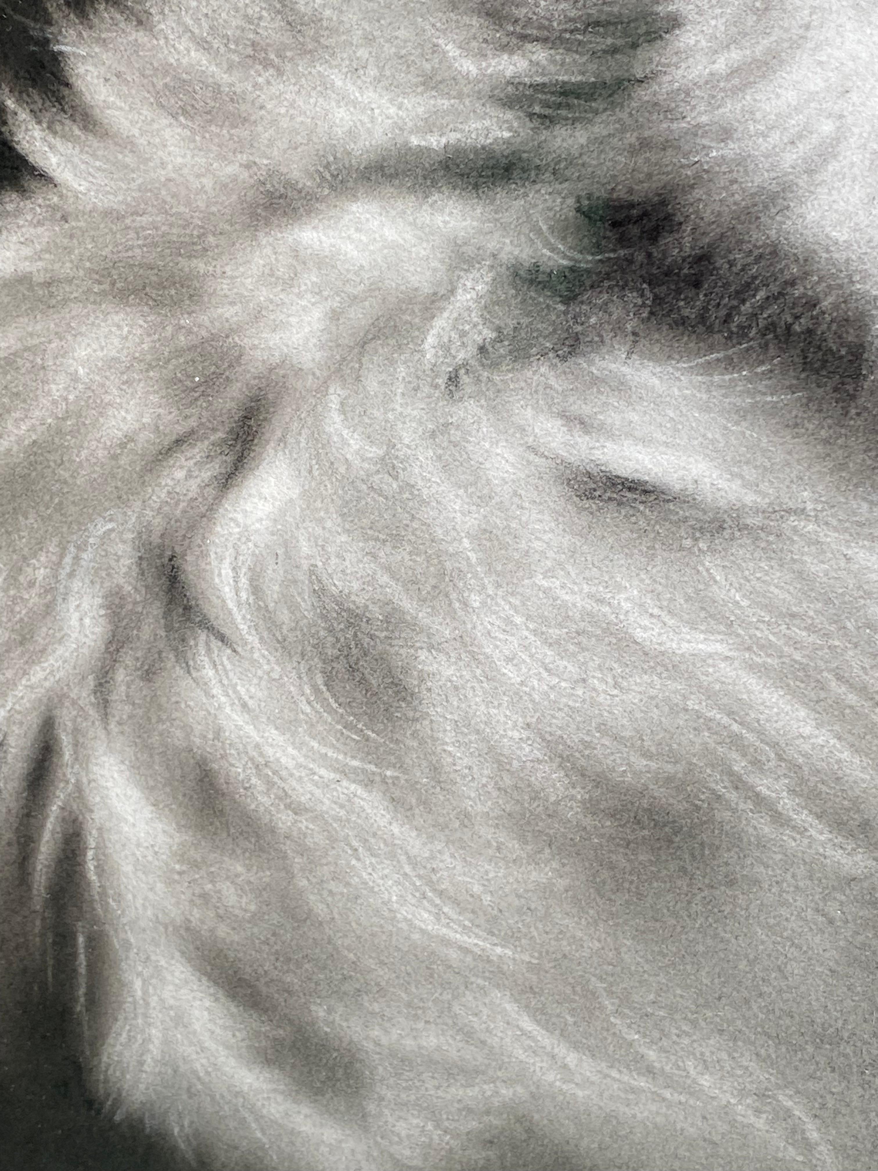 Tiny Glow - Dibujo contemporáneo a carboncillo del siglo XXI de un gato en venta 2