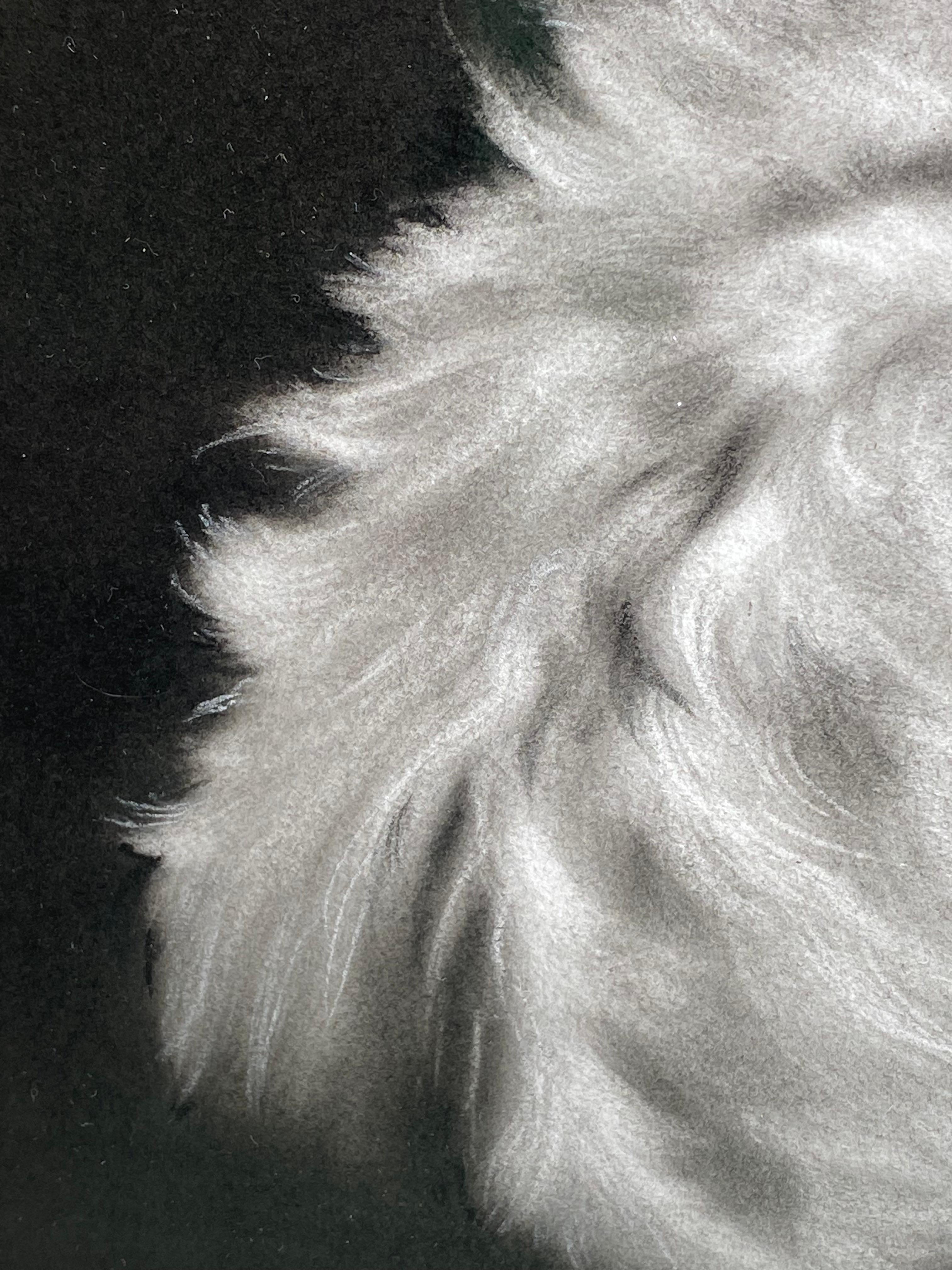 Tiny Glow - Dibujo contemporáneo a carboncillo del siglo XXI de un gato en venta 3