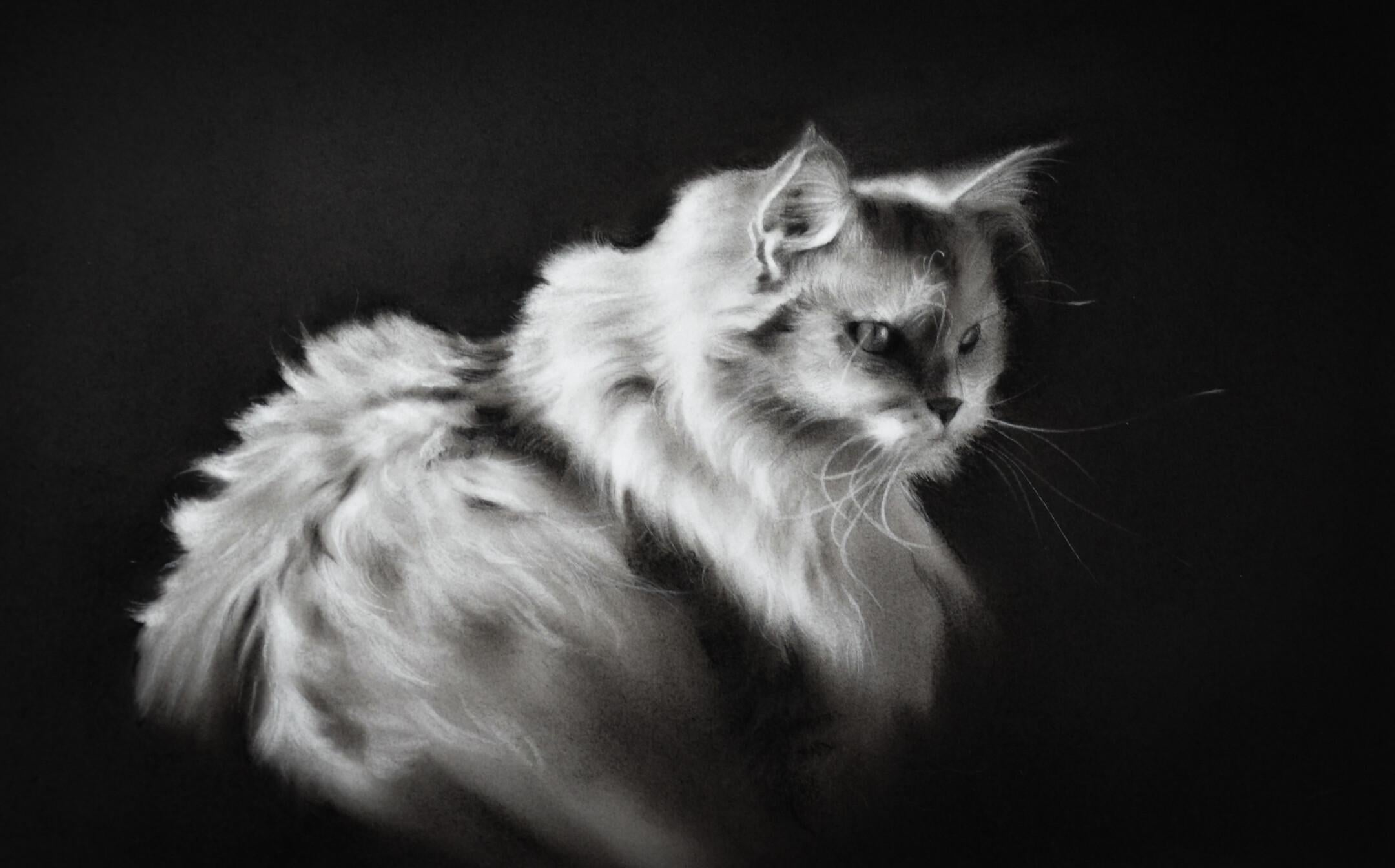 Nude de Rosanna Gaddoni - Tiny Glow - Dibujo contemporáneo a carboncillo del siglo XXI de un gato