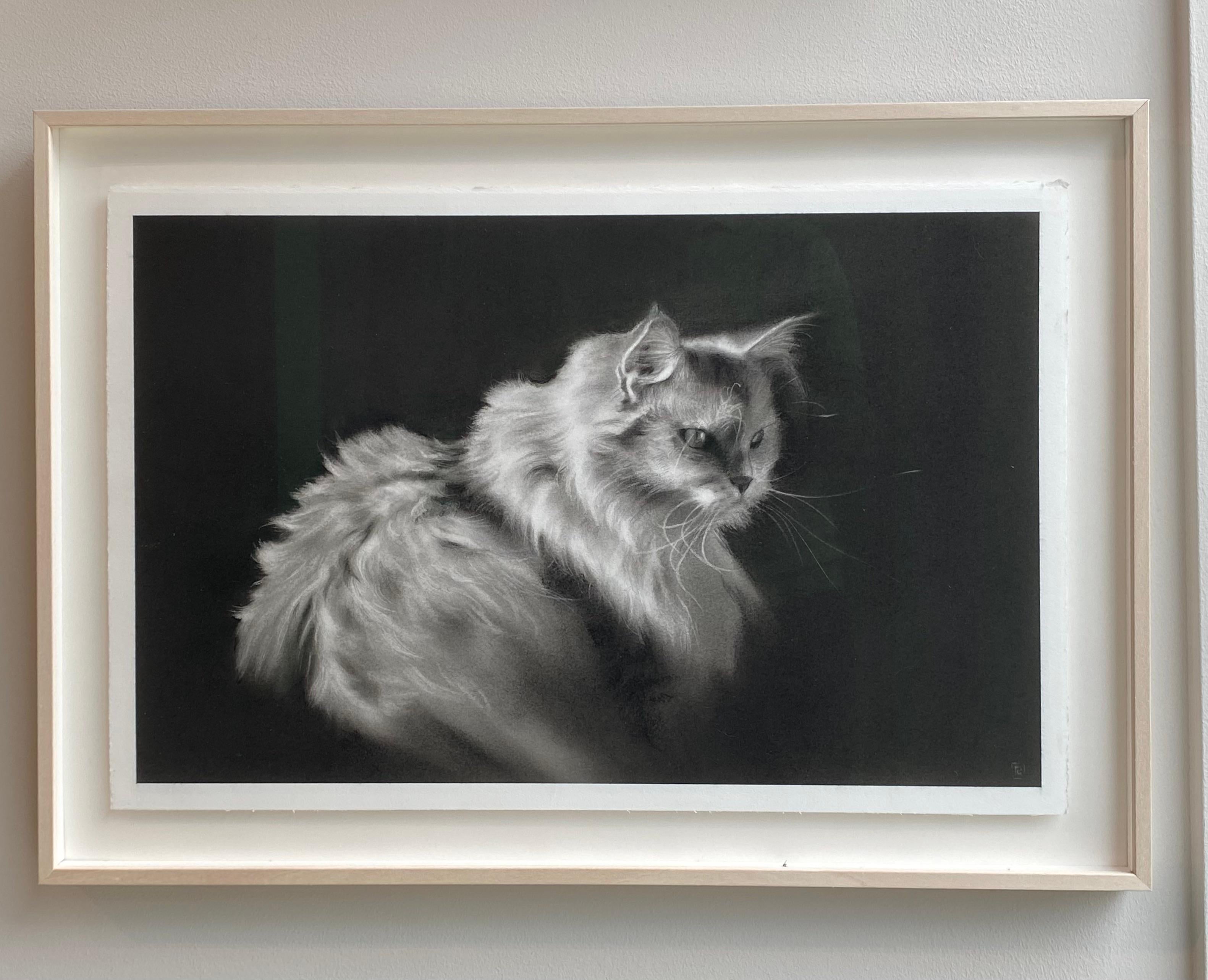 Tiny Glow - Dibujo contemporáneo a carboncillo del siglo XXI de un gato - Art de Rosanna Gaddoni