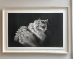 Tiny Glow - Dibujo contemporáneo a carboncillo del siglo XXI de un gato