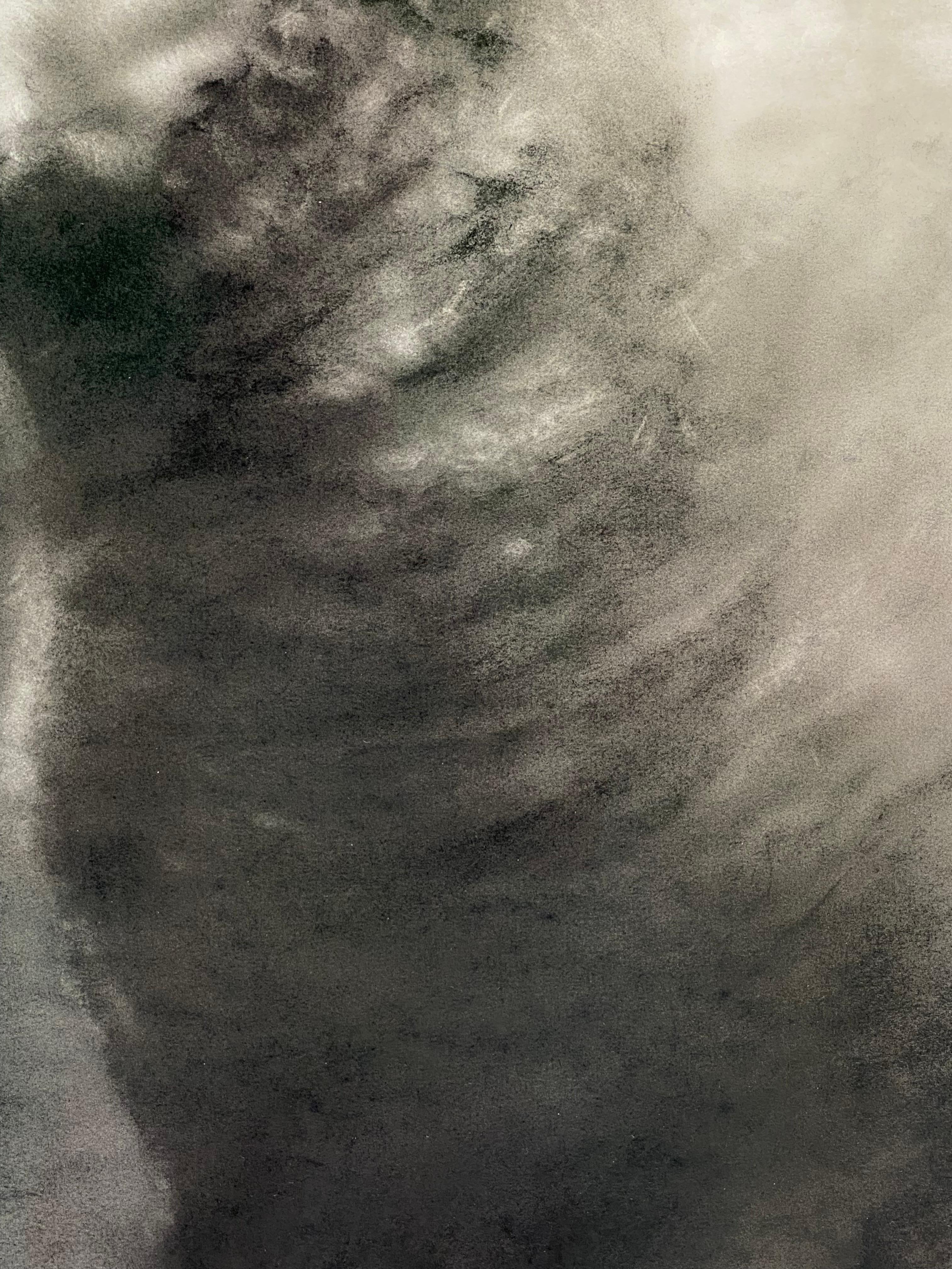Storia di una pecora - Disegno a carboncino contemporaneo del 21° secolo di una pecora - Figurative Art Nero di Rosanna Gaddoni