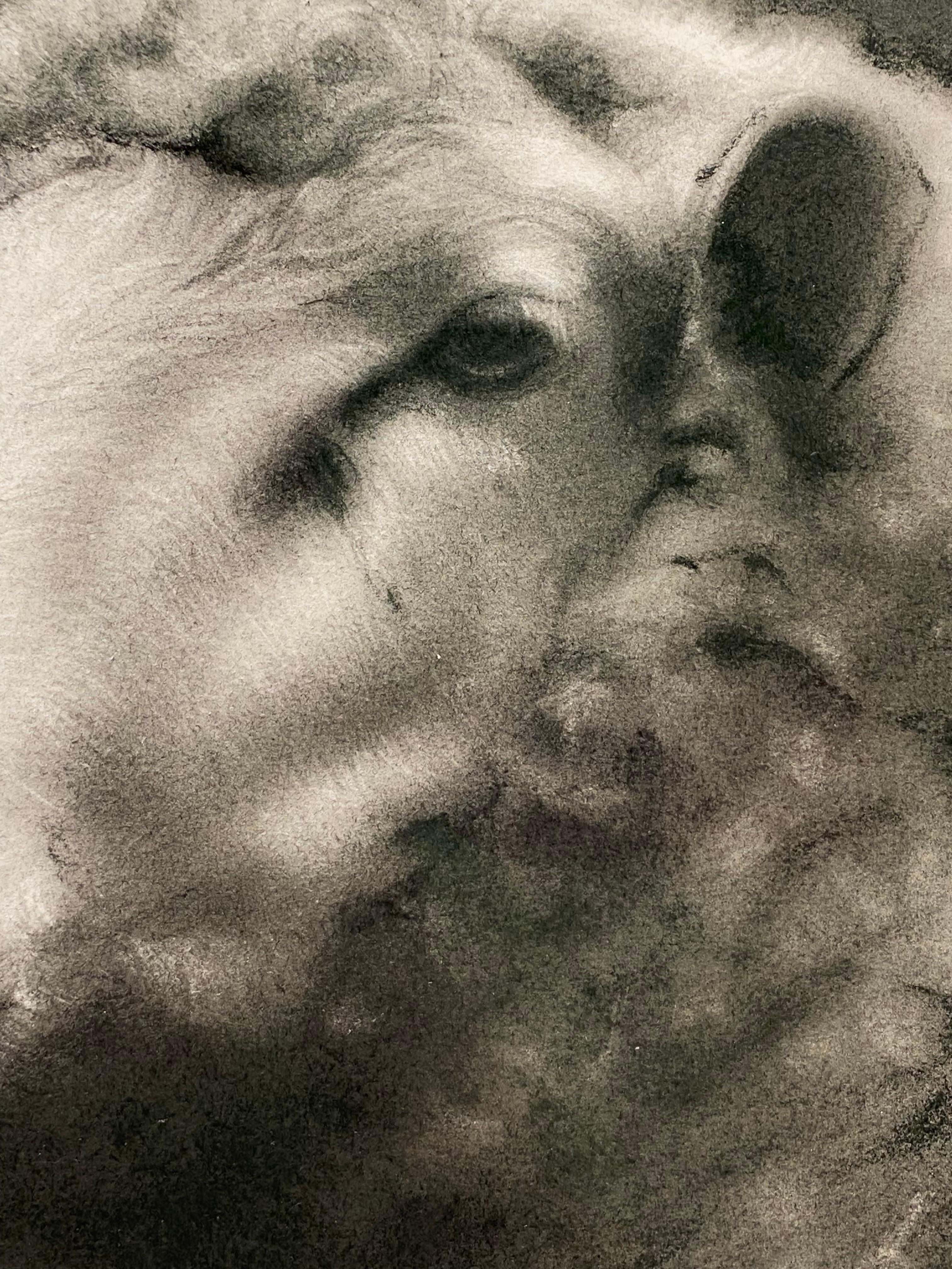 Storia di una pecora - Disegno a carboncino contemporaneo del 21° secolo di una pecora in vendita 2
