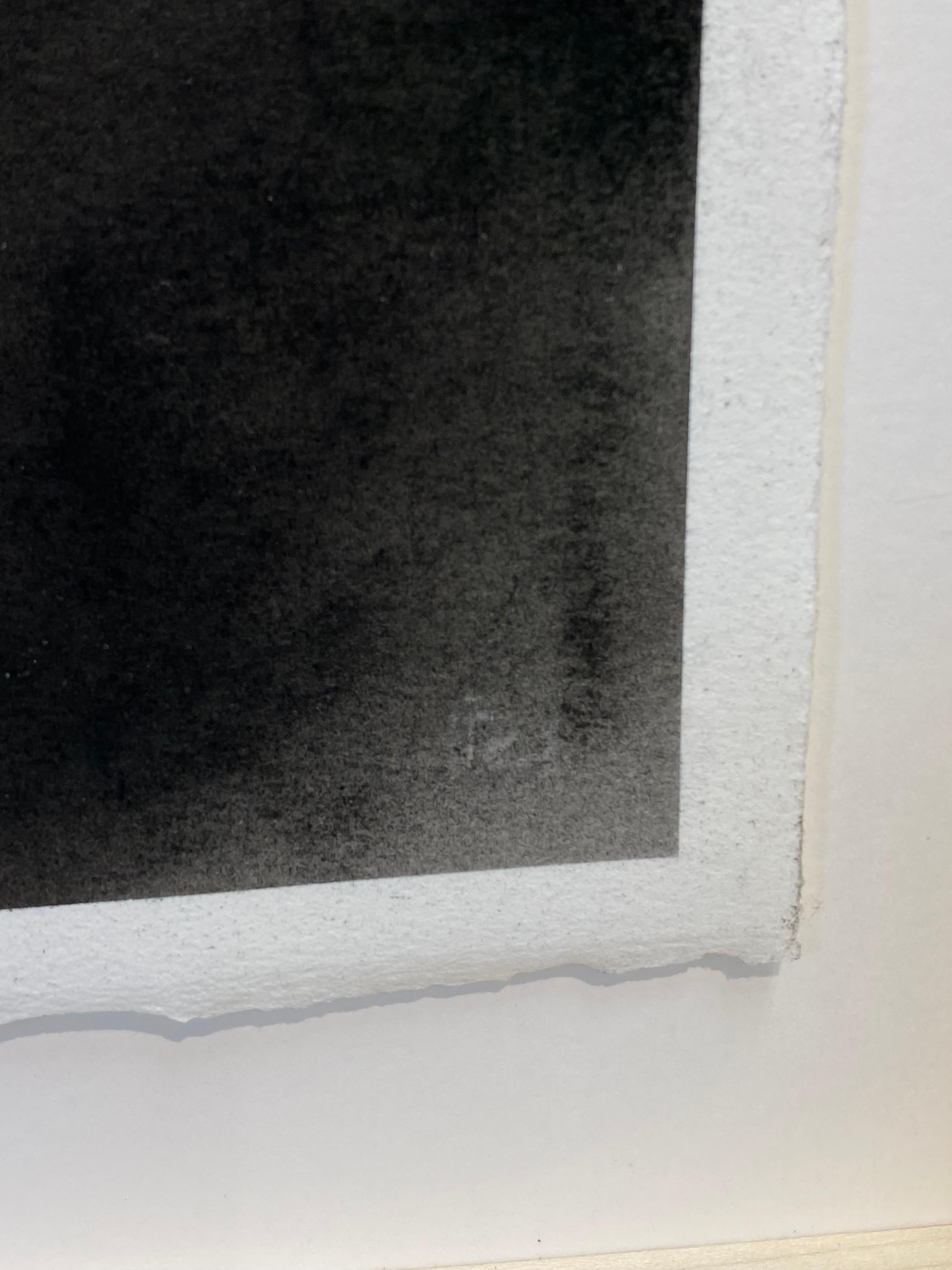 Storia di una pecora - Disegno a carboncino contemporaneo del 21° secolo di una pecora in vendita 4