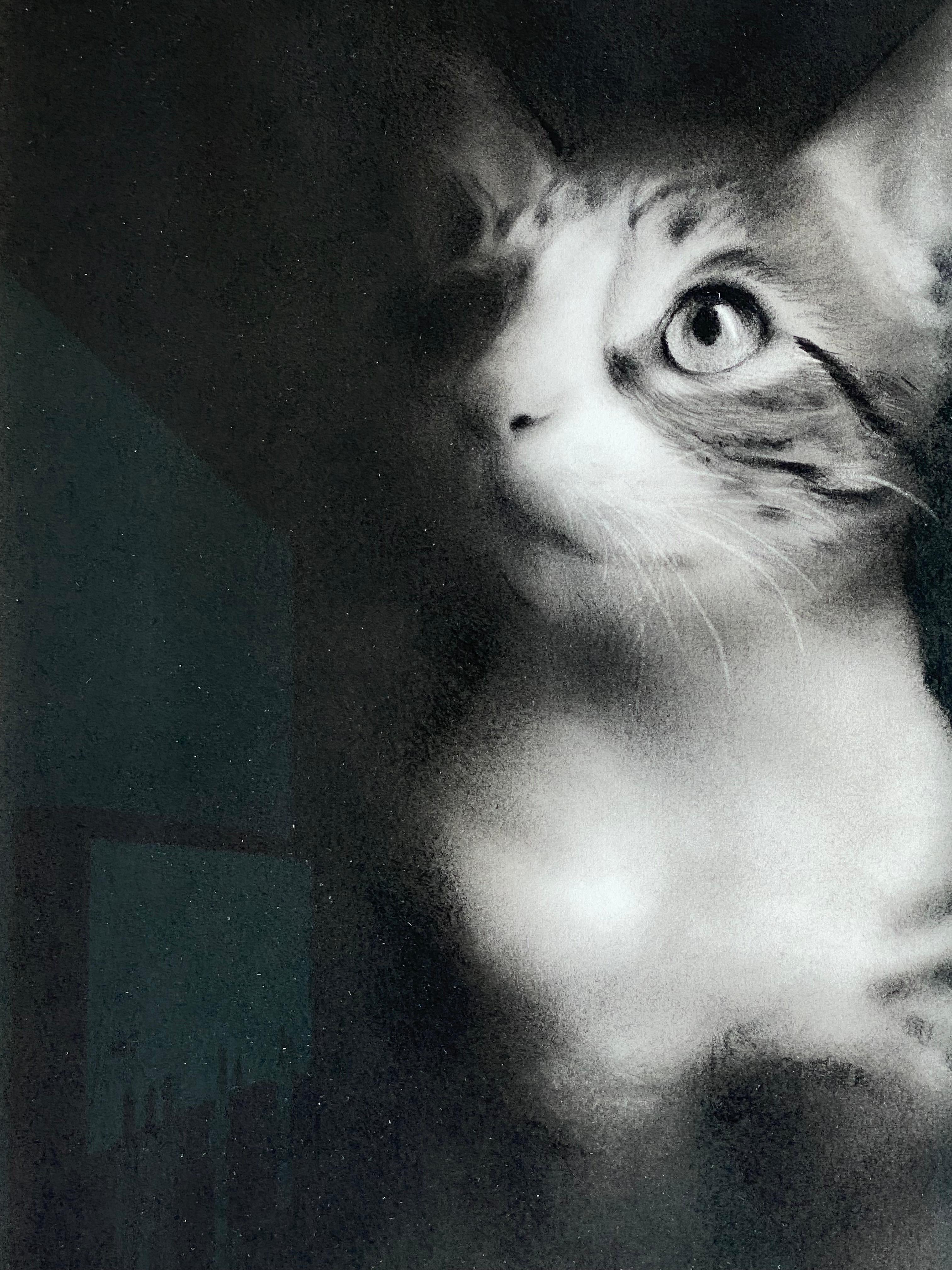 Ghost - Disegno a carboncino contemporaneo del 21° secolo di un gattino - Art Contemporaneo di Rosanna Gaddoni