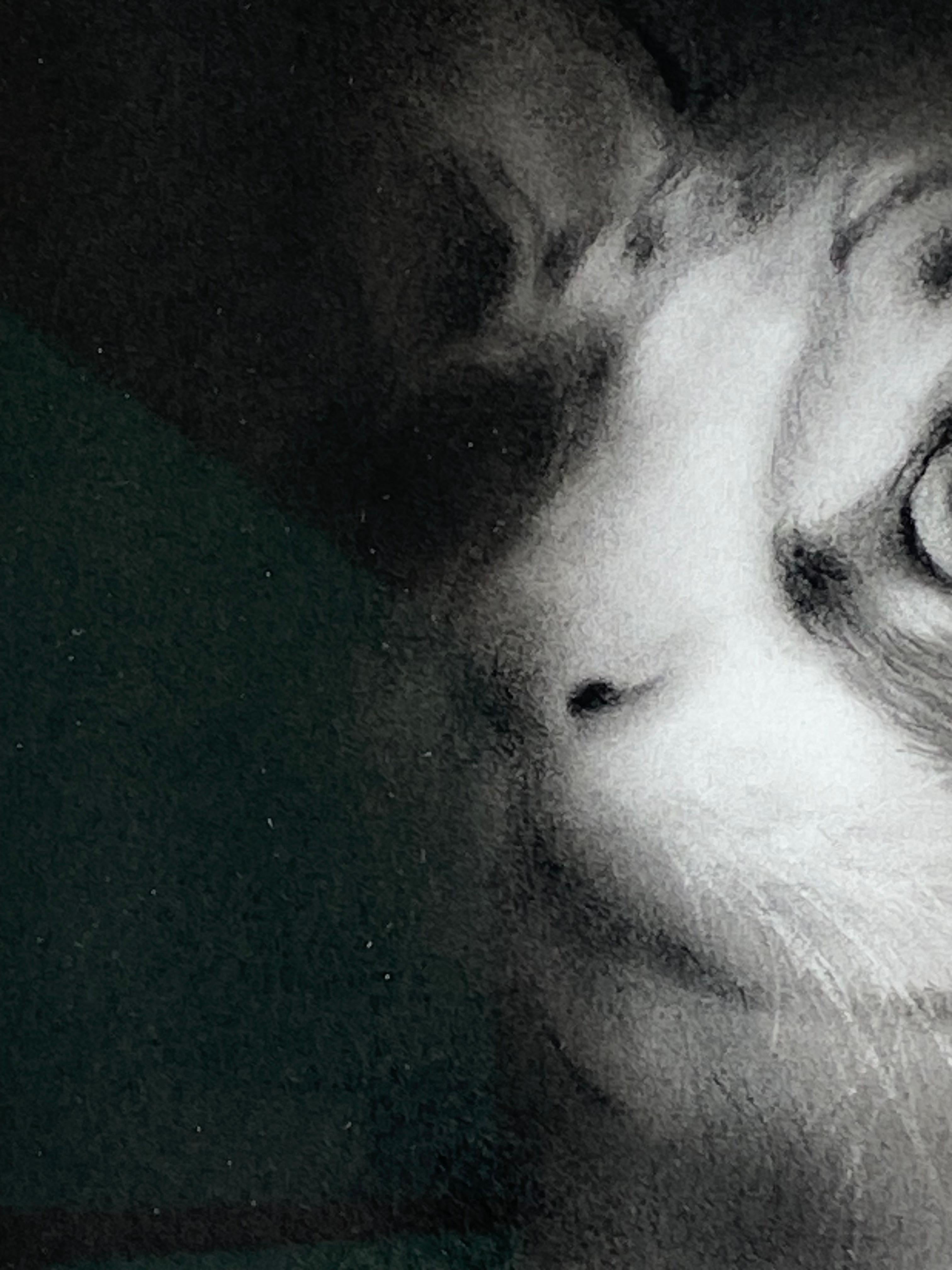Ghost - Disegno a carboncino contemporaneo del 21° secolo di un gattino in vendita 1
