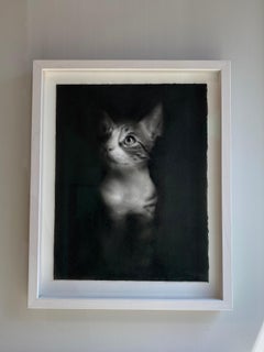 Ghost - 21st Century Contemporary Charcoal Drawing of a kitten