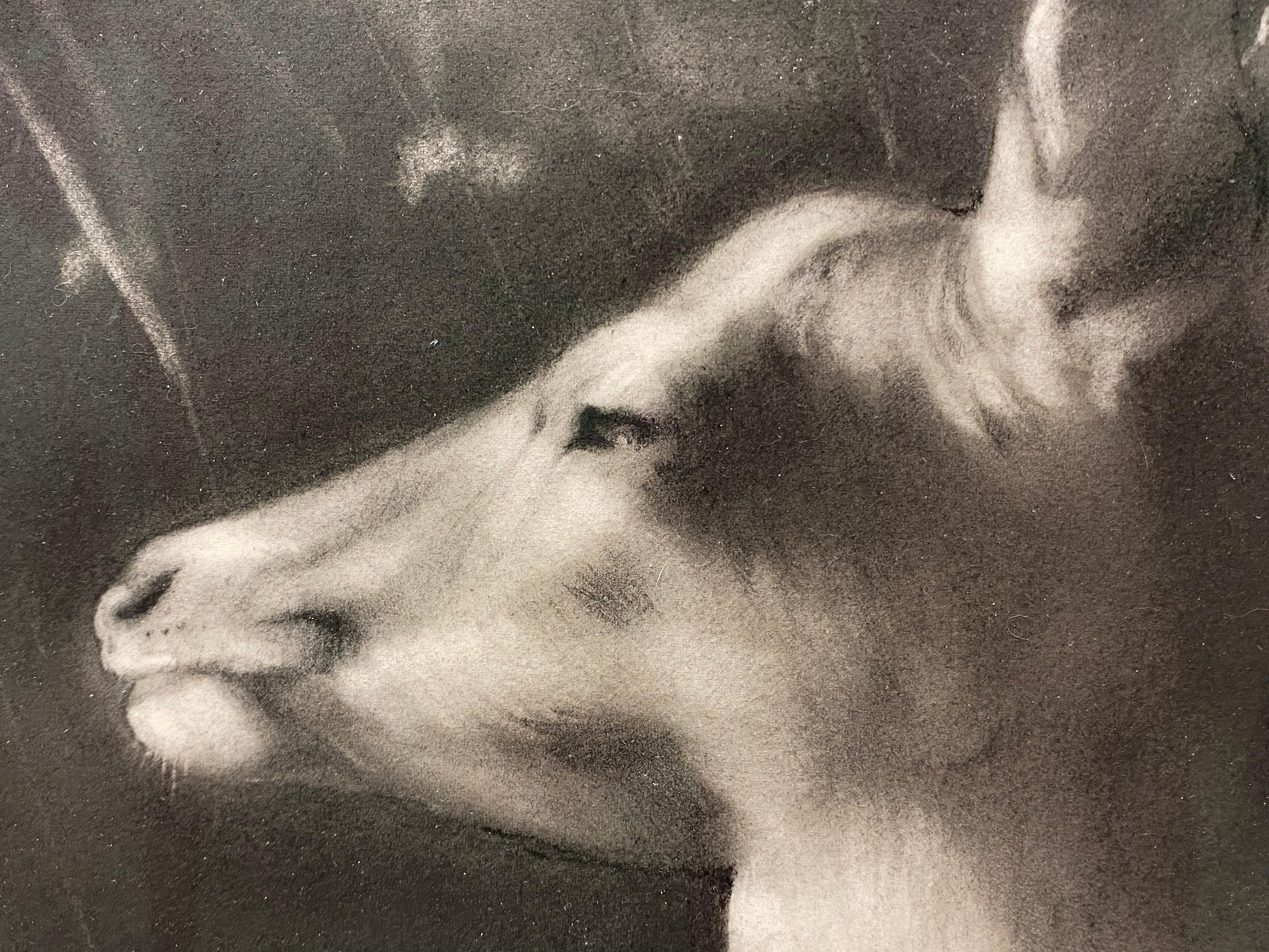 Solstizio d'Inverno - Dessin au fusain contemporain du 21e siècle d'une jeune fille en vente 2