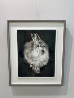 Follow Me - 21st Century Contemporary Charcoal Drawing of a Rabbit
