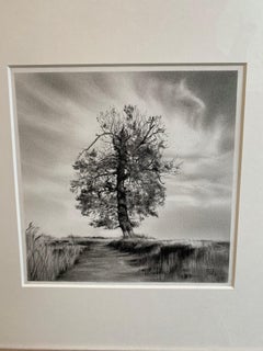 Standing Still - Dessin au fusain d'un paysage contemporain du 21e siècle