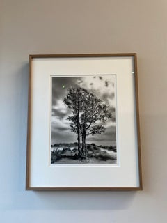 The way through - 21st Century Contemporary Landscape Charcoal Drawing