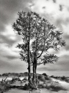 The way through - 21st Century Contemporary Landscape Charcoal Drawing