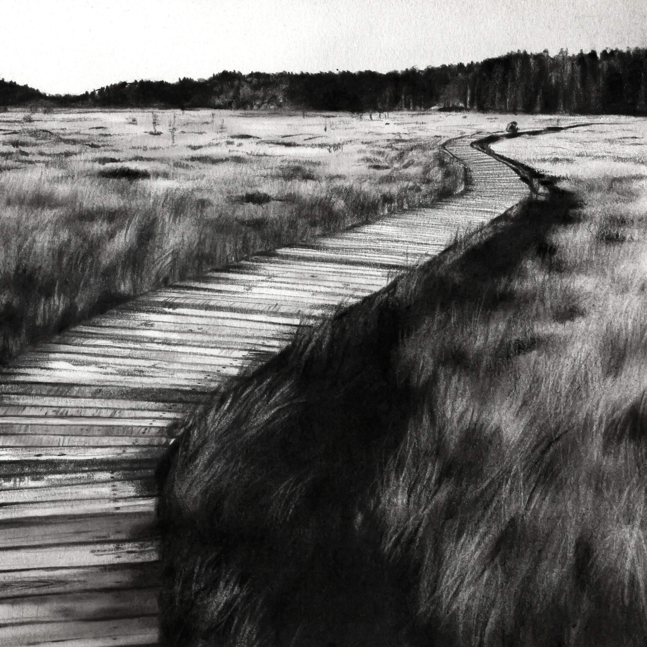 A Walk - 21st Century Contemporary Landscape Charcoal Drawing