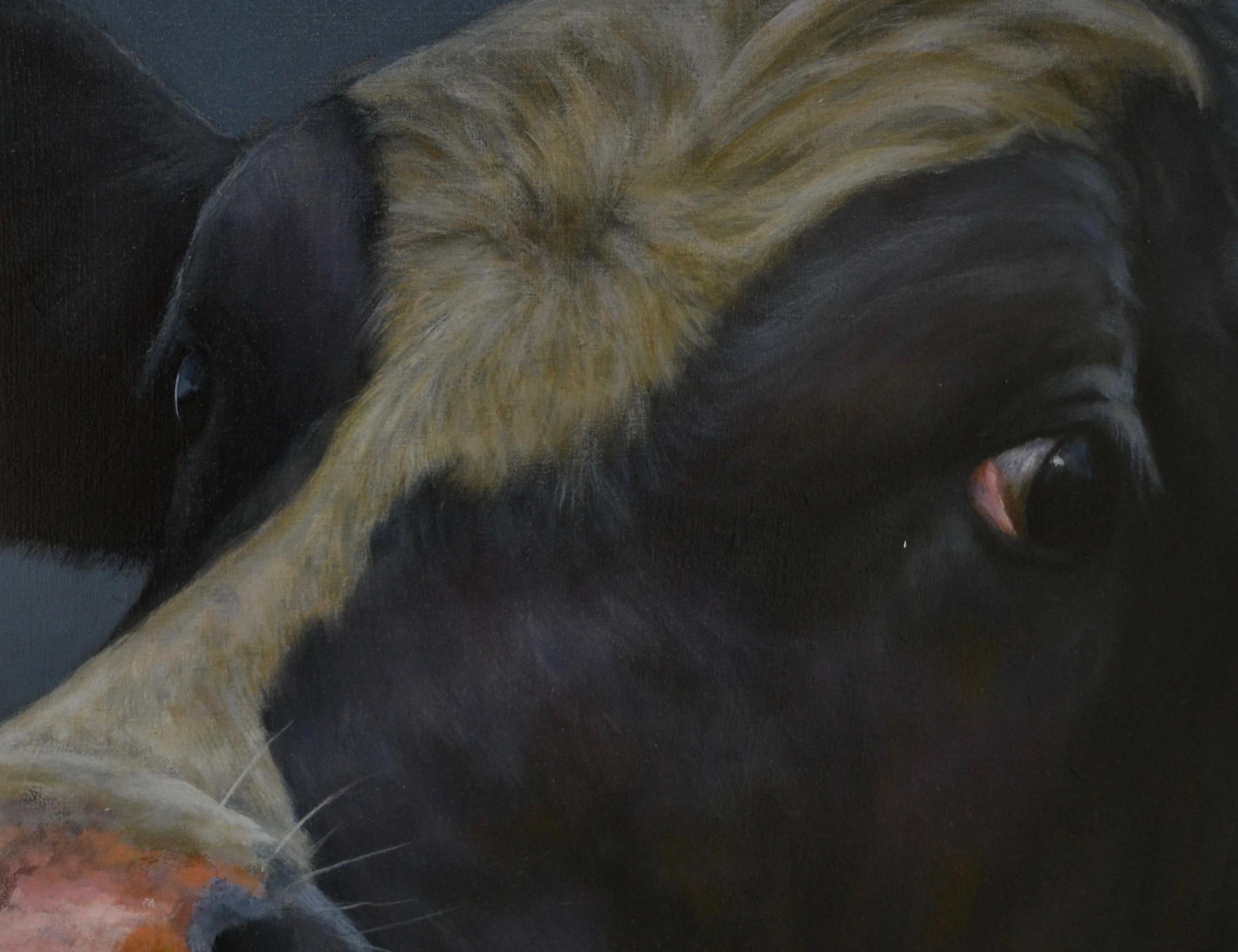 Portrait of a Cow -21st Century Contemporary Dutch Portrait Painting of a Cow 1