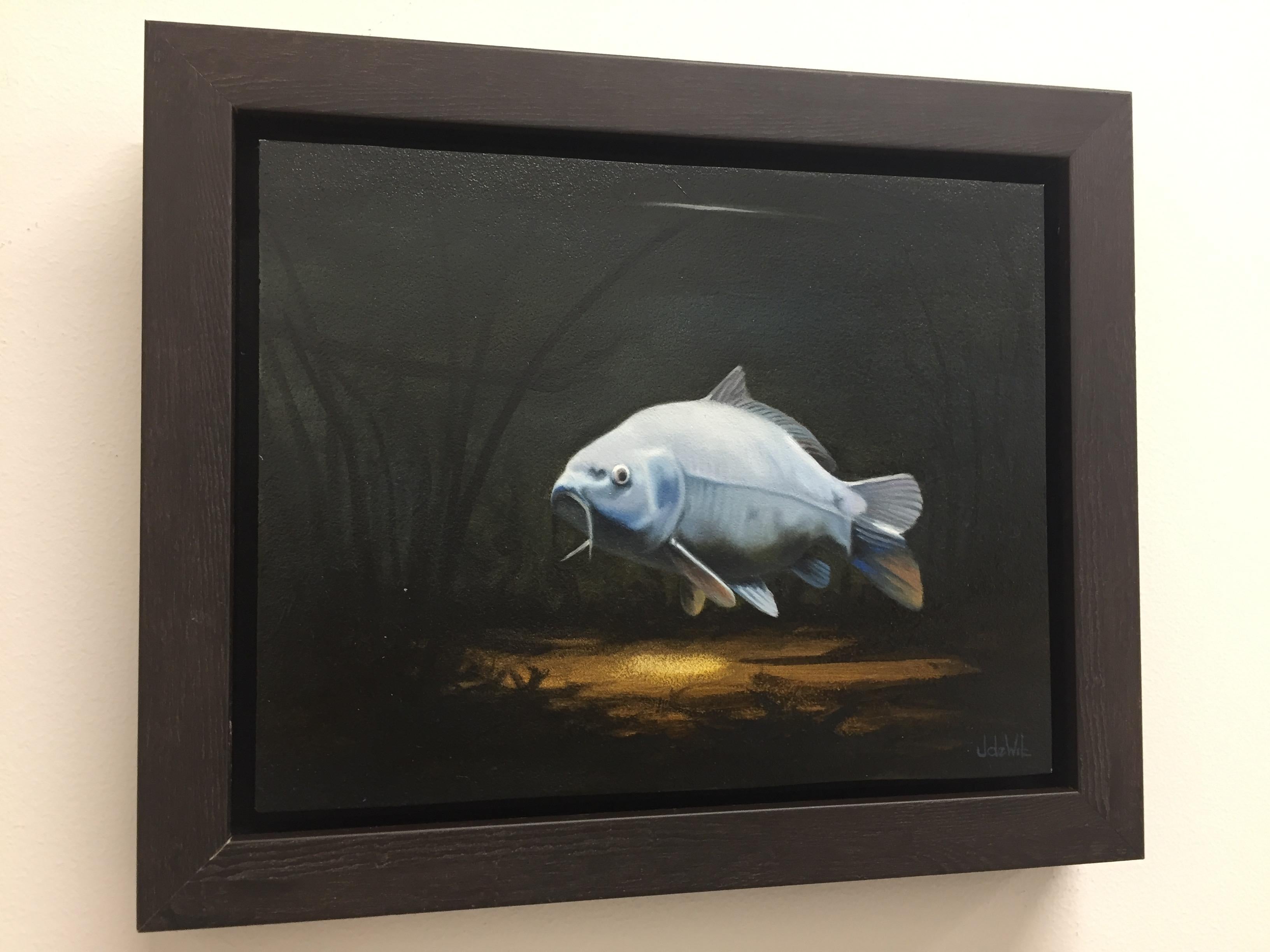 Cypri C3 - Quadro realistico contemporaneo del XXI secolo raffigurante un pesce - Painting di Jos de Wit