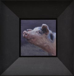 Small Pig's head- 21st Century Contemporary Animal Painting of a Pig