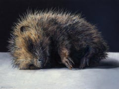 Young Hedgehog, Adriana van Zoest, 21st Century Contemporary Still-life Painting