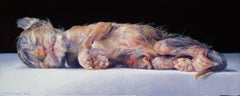 Newborn Kitten - 21st Century Contemporary Still-life by Adriana Van Zoest