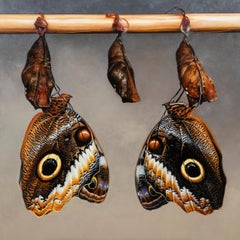 Owl Butterflies - Joran van der Haar, 21st Century Contemporary Oil Painting