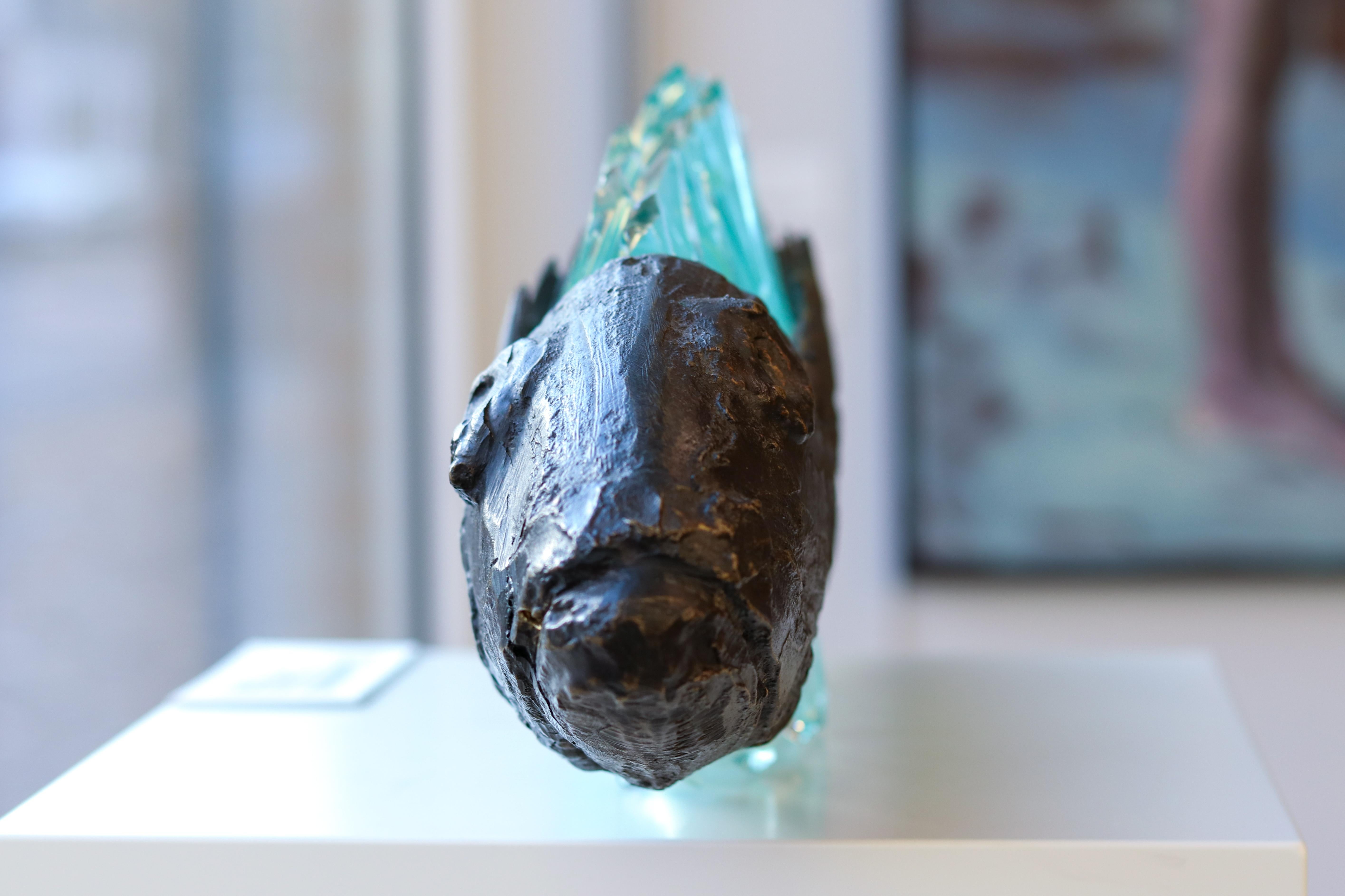 Entrapped fish - Barracuda, 21st Century Contemporary Sculpture by Yrgos Kypris 10