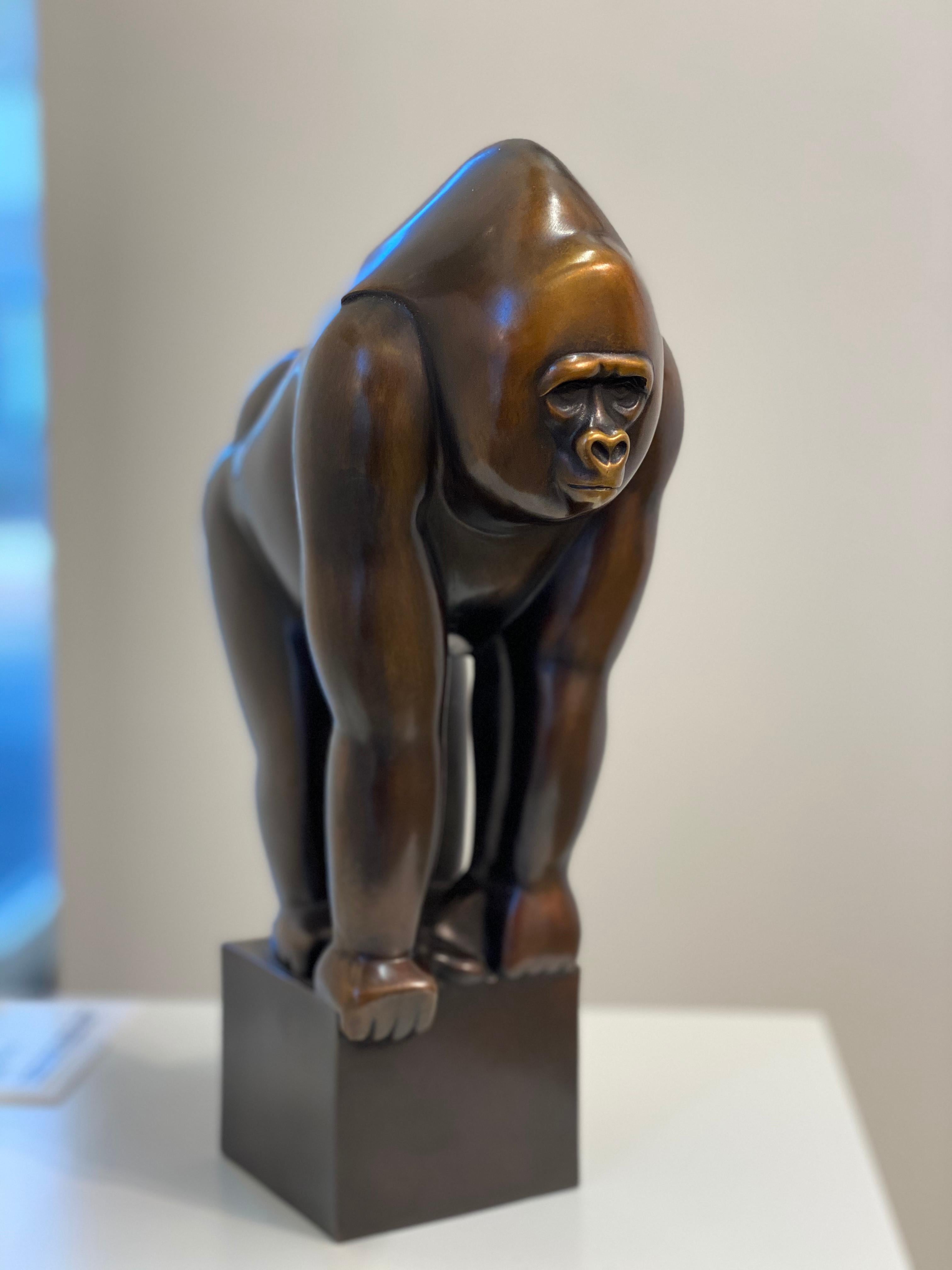 Gorilla- 21st Century Dutch Bronze sculpture of a Gorilla - Sculpture by Frans van Straaten