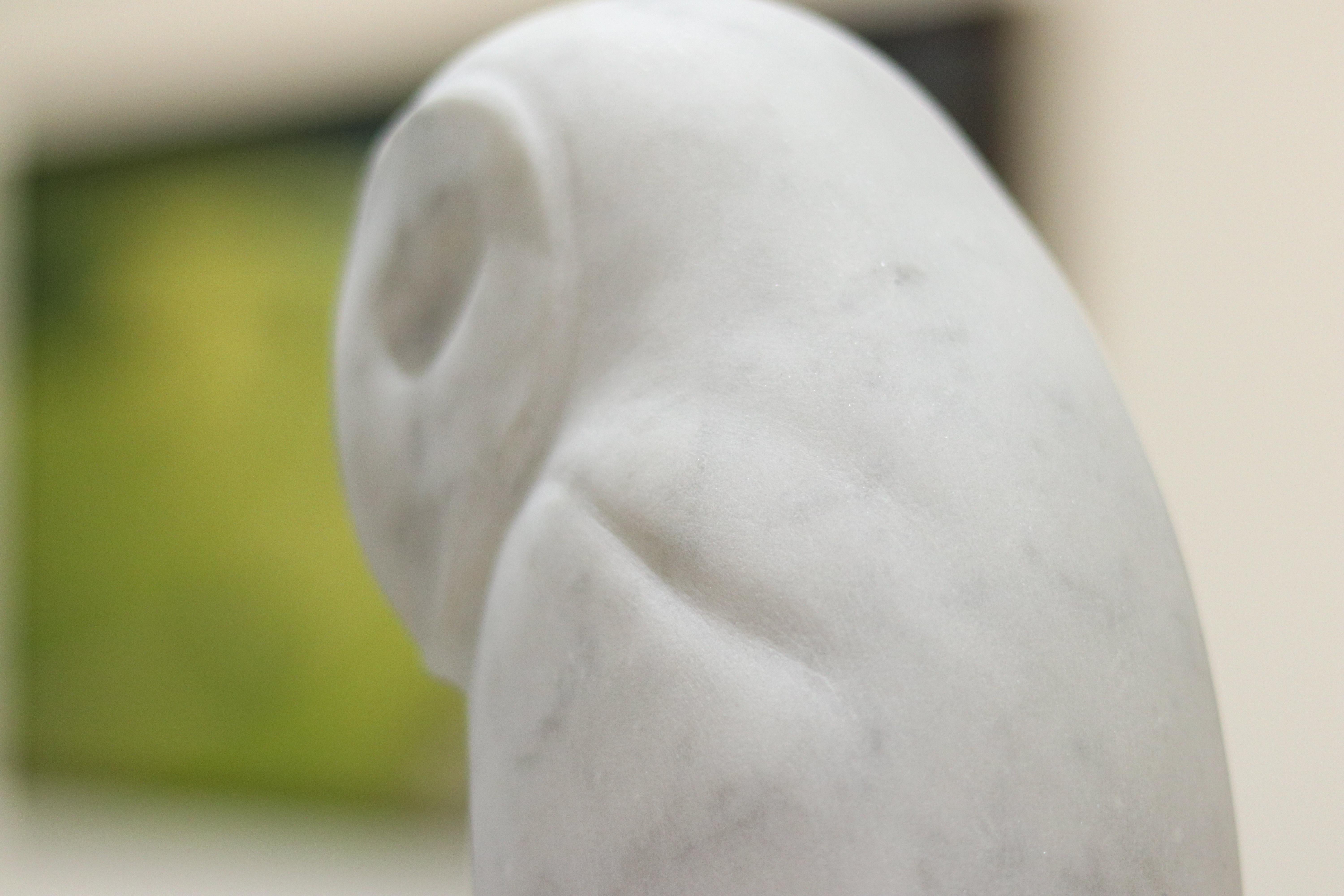 Barn Owl- 21st Century Dutch marble sculpture of an owl  5