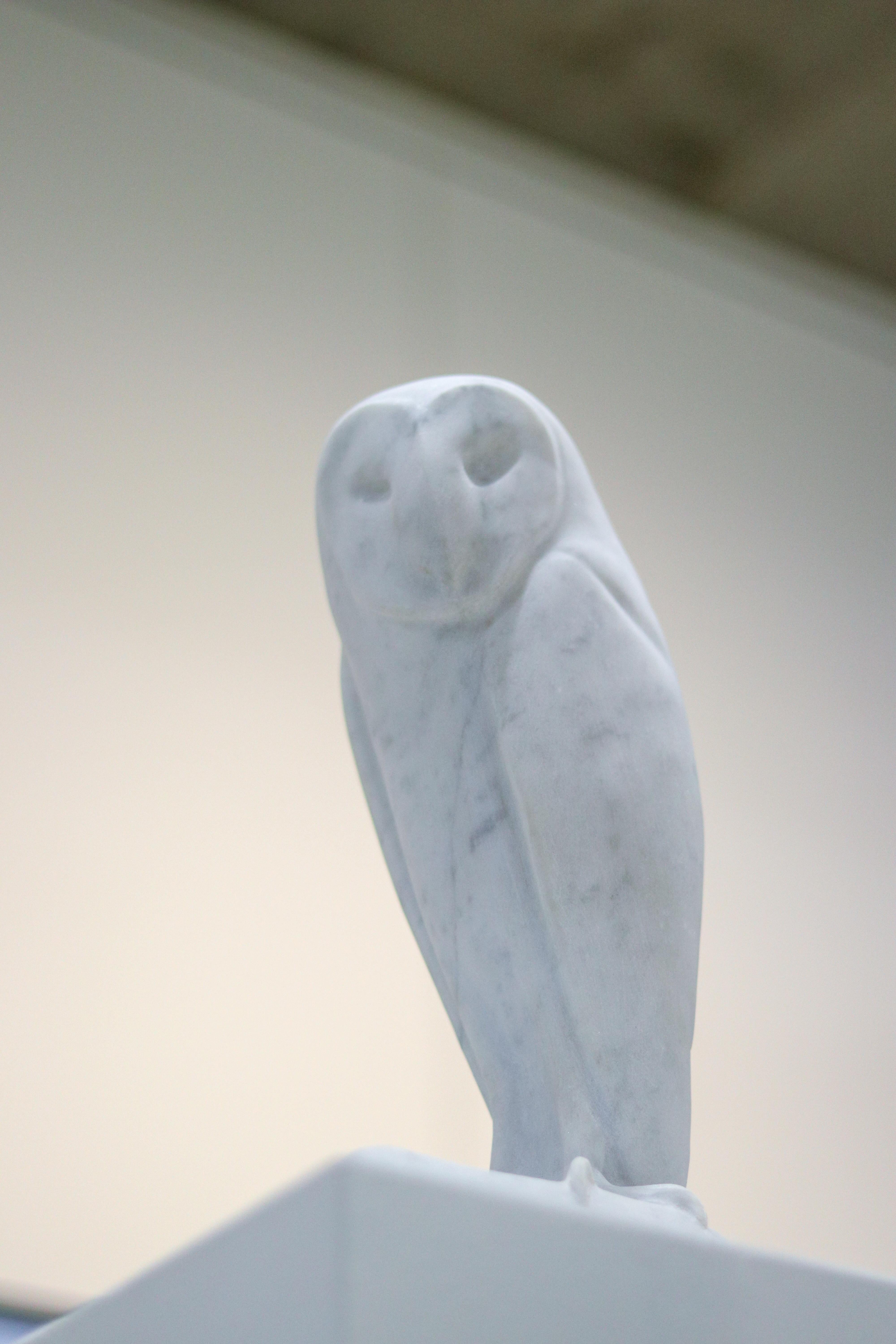 Barn Owl- 21st Century Dutch marble sculpture of an owl  8