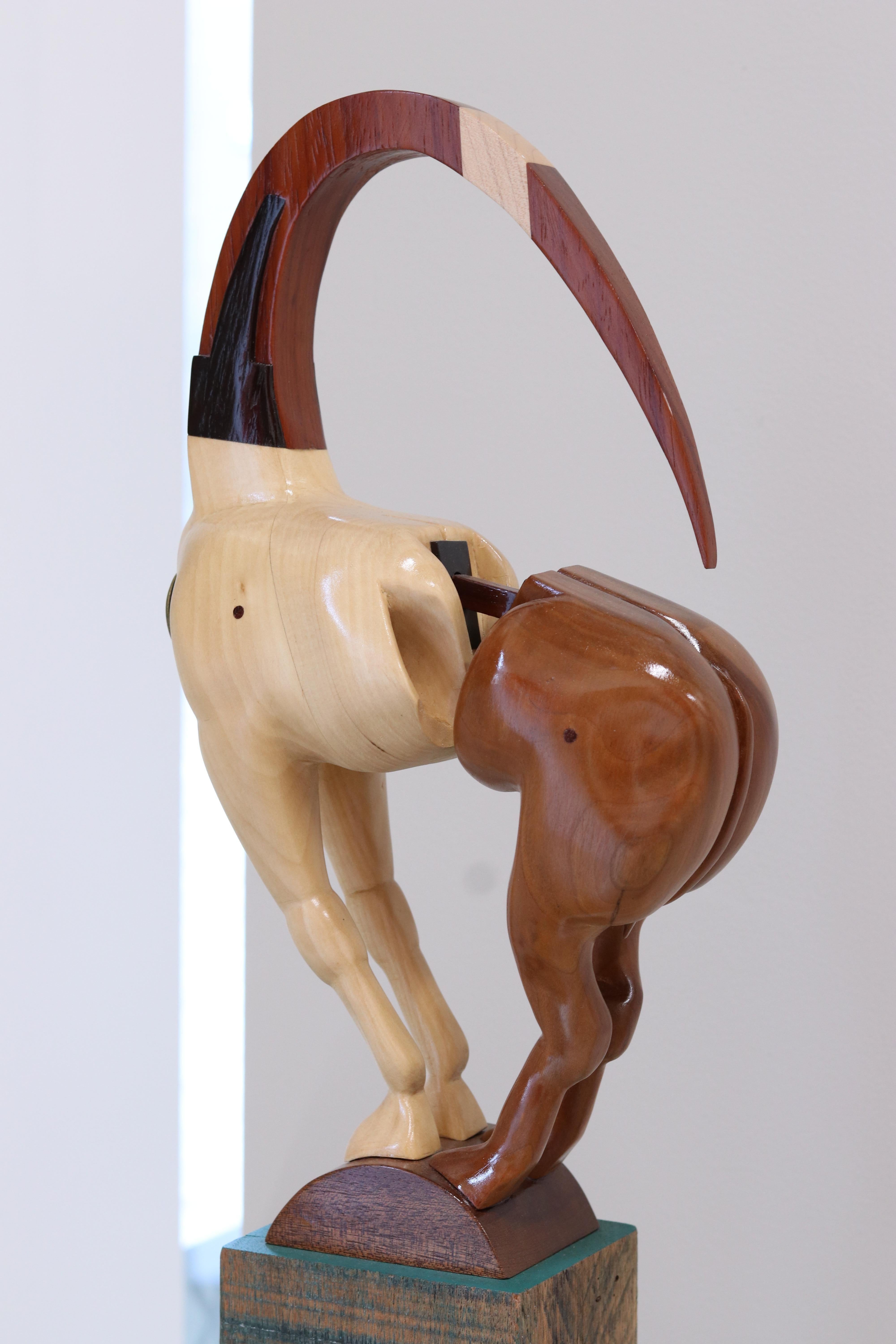 Equus Capricornus - 21st Century Contemporary Wooden Sculpture by Jos de Wit