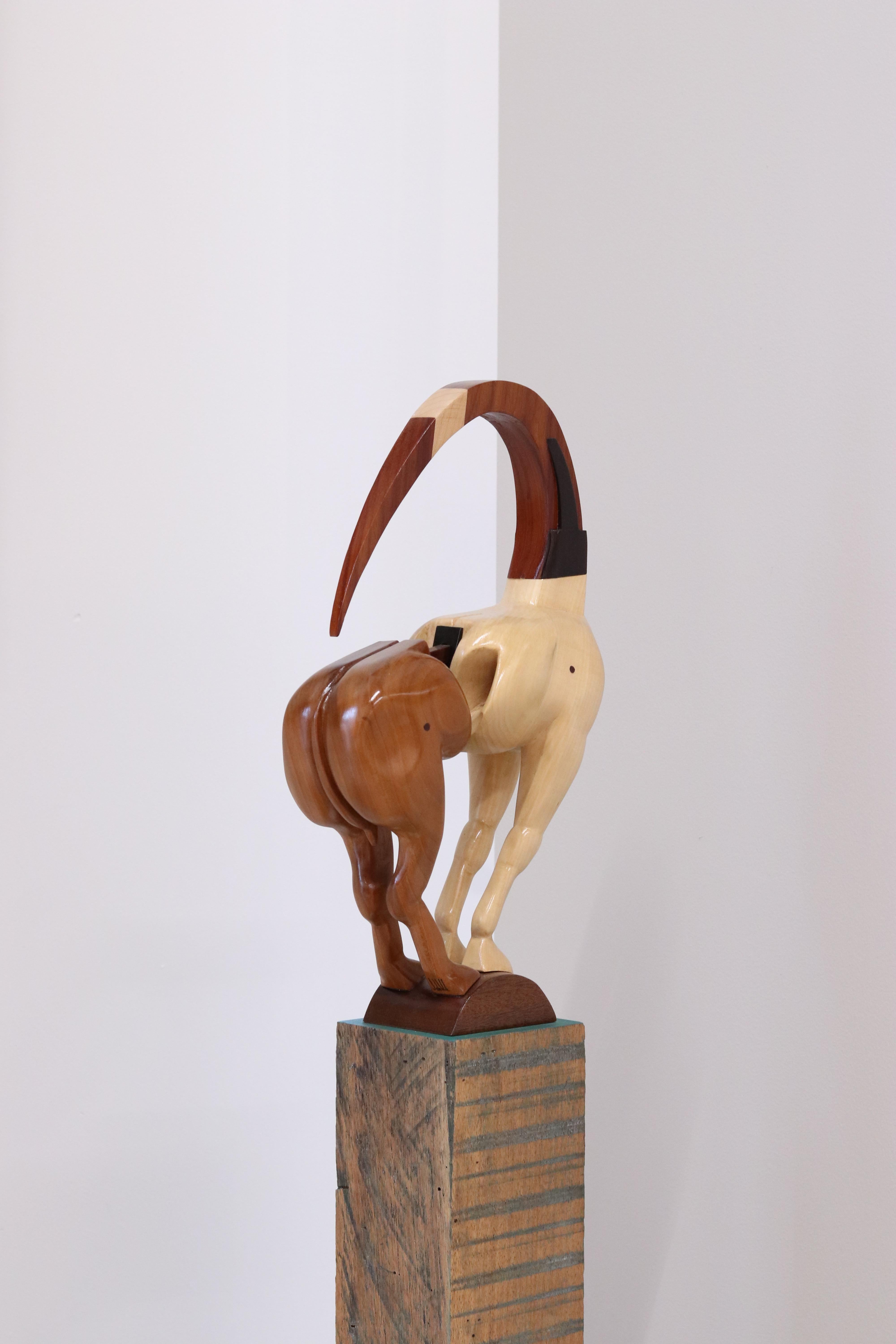Equus Capricornus - 21st Century Contemporary Wooden Sculpture by Jos de Wit For Sale 5