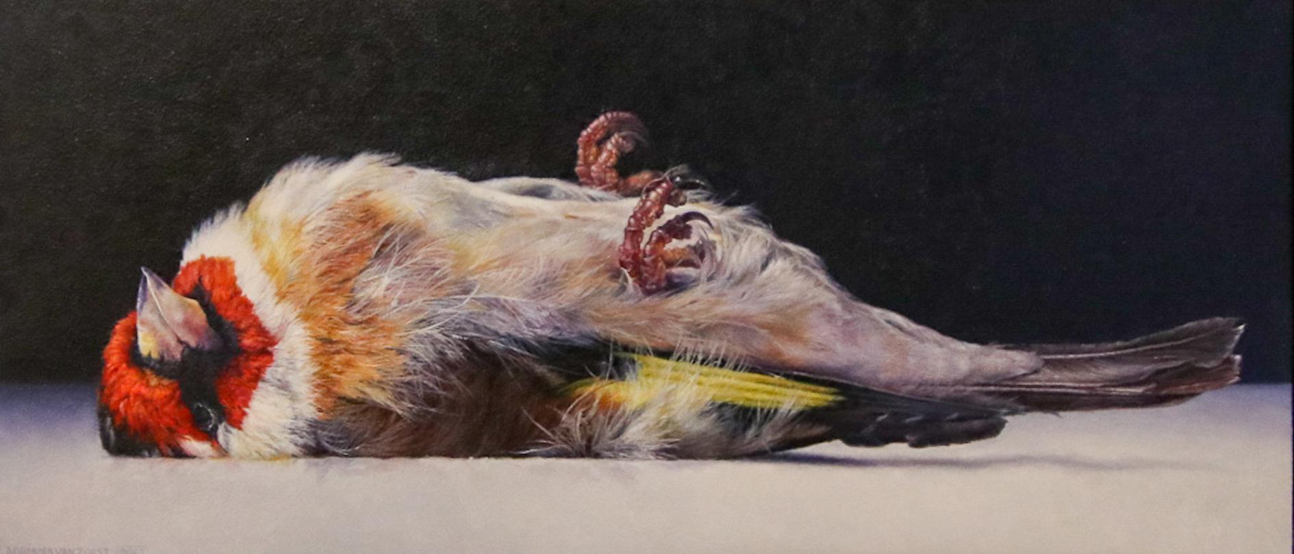 Adriana van Zoest  Figurative Painting - Putter - 21st Century Contemporary Animal Still-Life Painting of a Dead Bird
