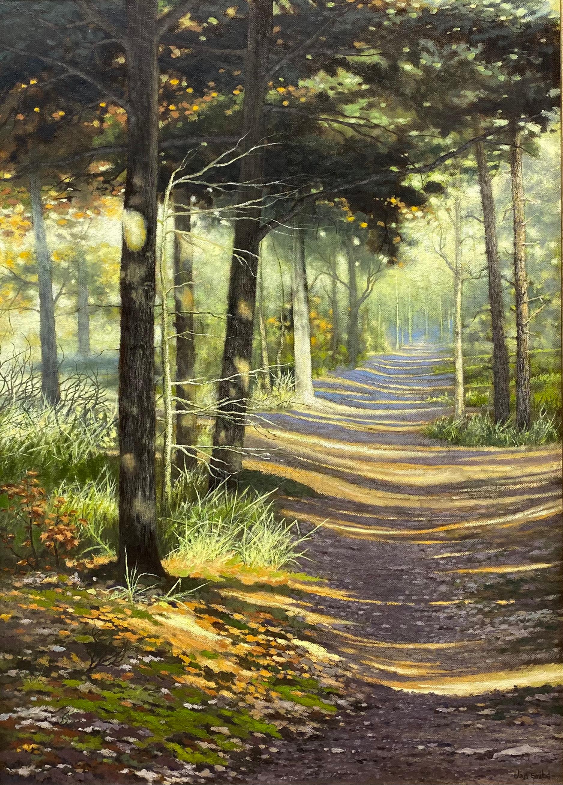 Jan Smits Figurative Painting - Sunshine in Dutch Forest - 21st Century Contemporary Dutch Landscape Painting