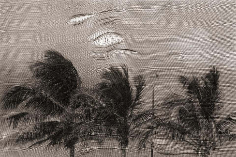 Robin Rice - Anguilla, BWI, 1989 For Sale at 1stDibs