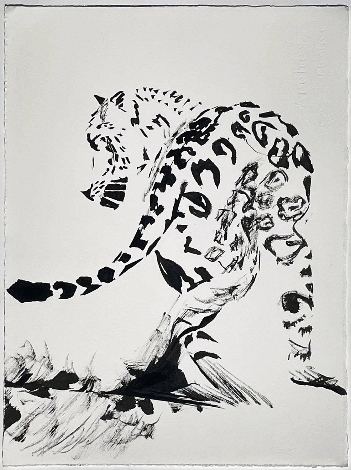 Animal Art Matt Kinney - Jungling (Jaguar)