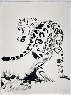 Jungling (Jaguar)