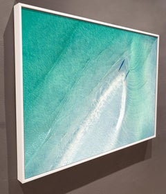 Plumas, Cayo Hueso, FL, 2018