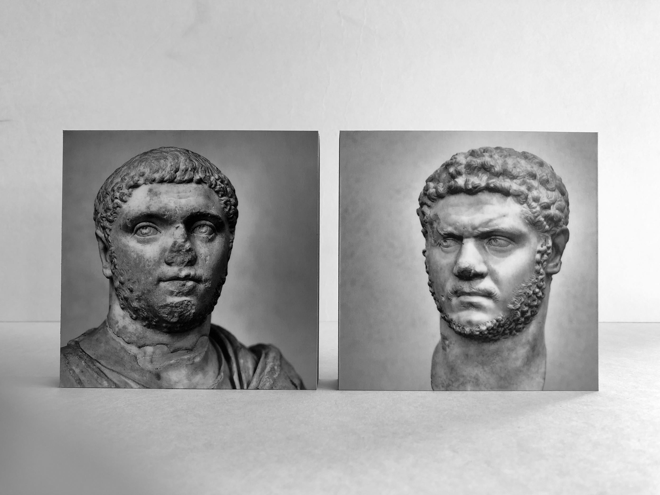 IMPERATORUM - Geta & Caracalla - brothers against - diptych #03 - #04 - collection: "Romae" - Alberto Desirò

Two brothers against, one accustomed to sovereign arrogance, the other kind, understanding, cultured and prone to a life dedicated to the