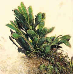 Kalk Bay Cactus, Cape Town- Botanical painting, Oil paint on Canvas, 21st Century