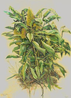 Ginger Bush, Inanda- Botanical painting, Oil pant on Canvas, 21st Century